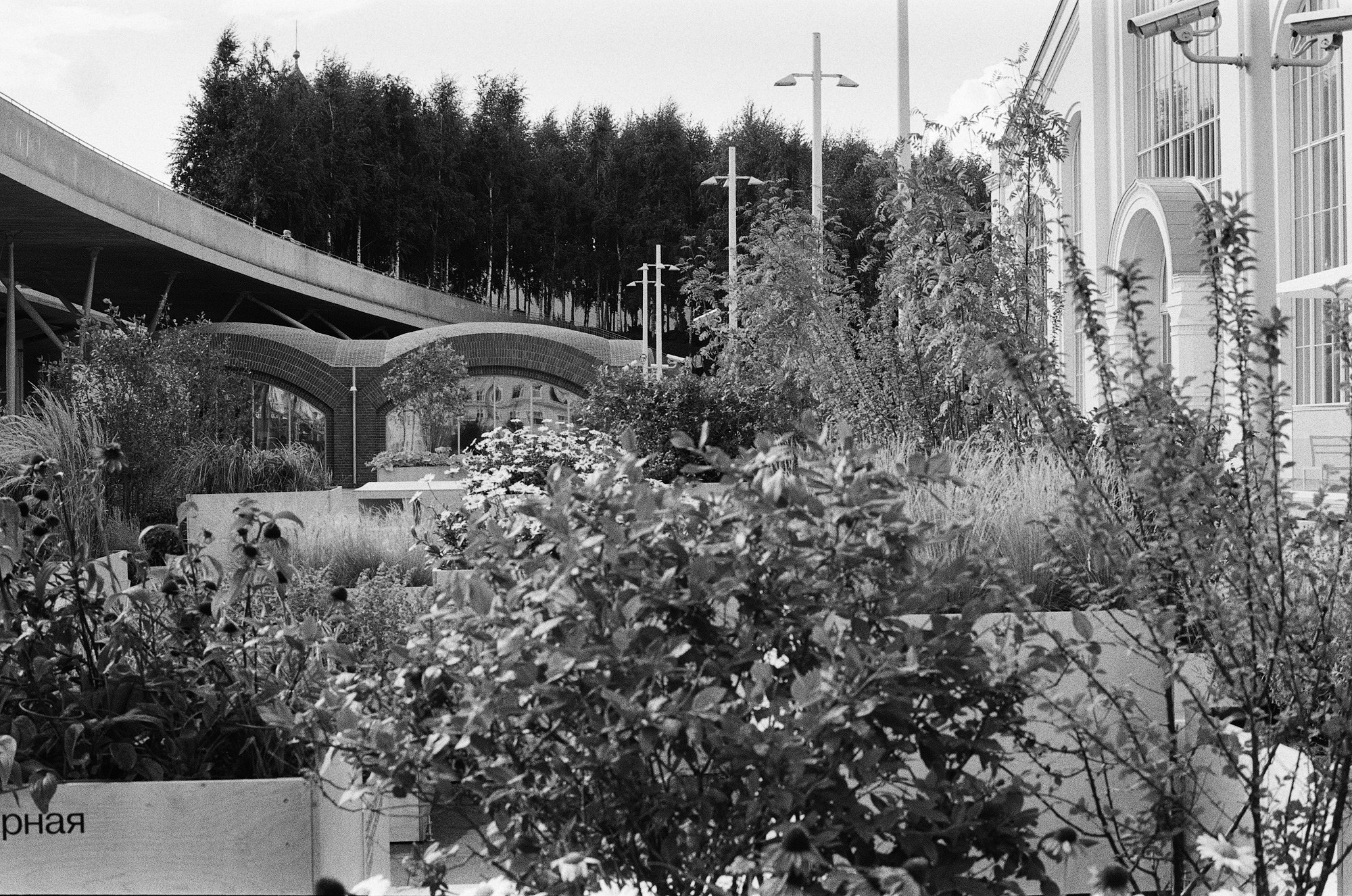 Прогулка по центру Москвы. Другой Павел Поцелуев. Фотограф в 2025 году