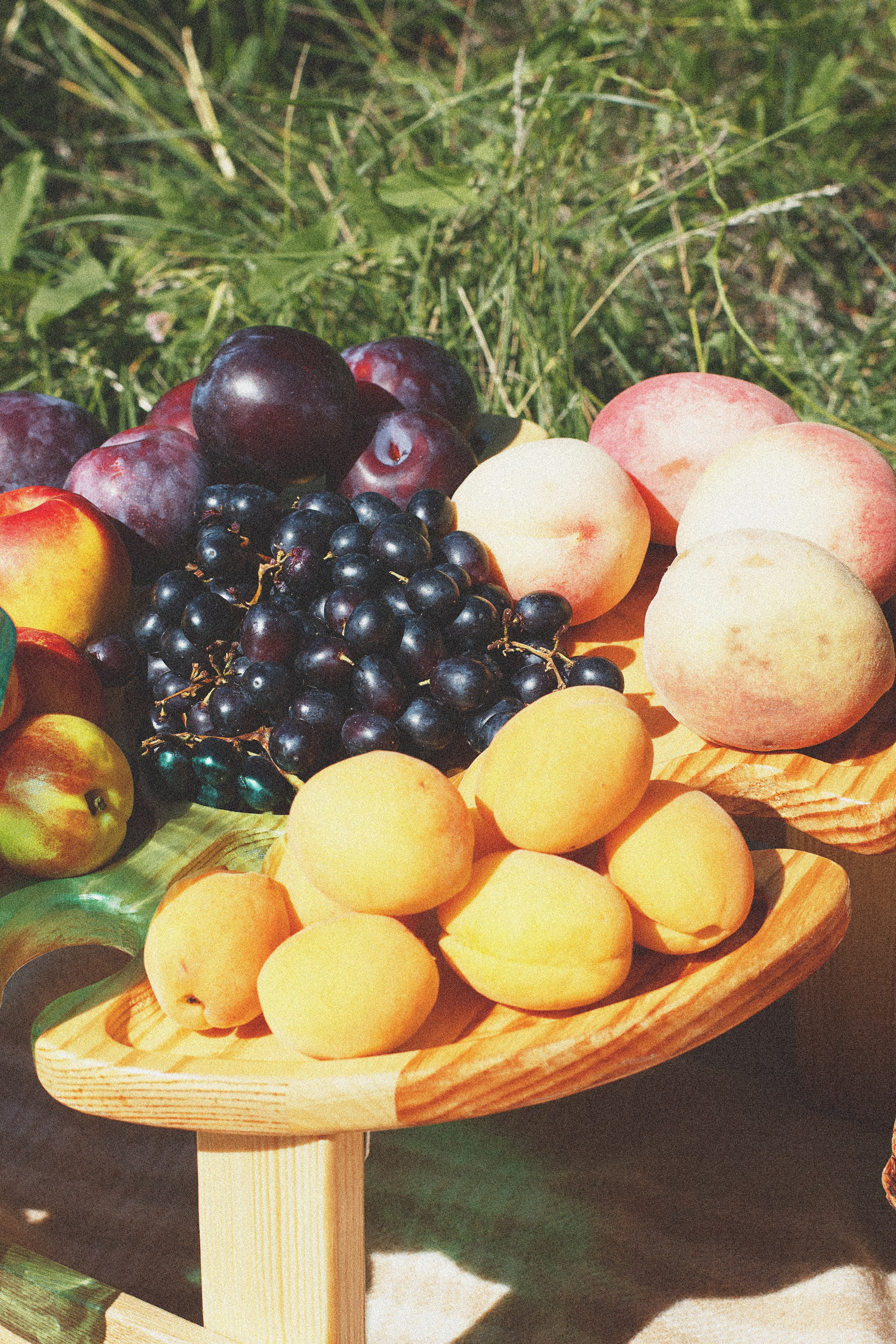 Семейная Оля и Василиса. Фотограф и видеограф в Омск/Москва Сащенко Лера