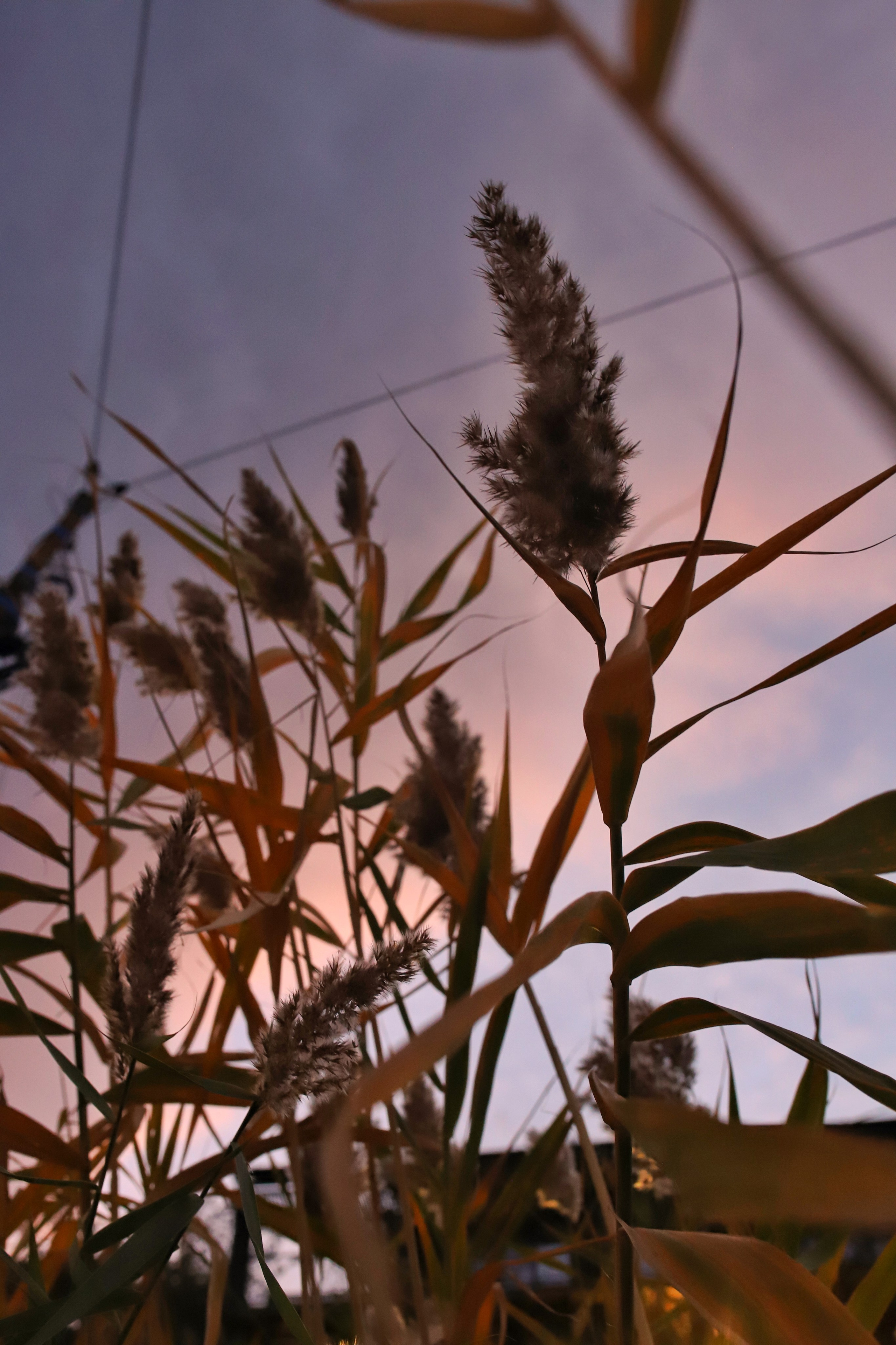 Восточная набережная. Фотограф и видеограф в Санкт-Петербурге
