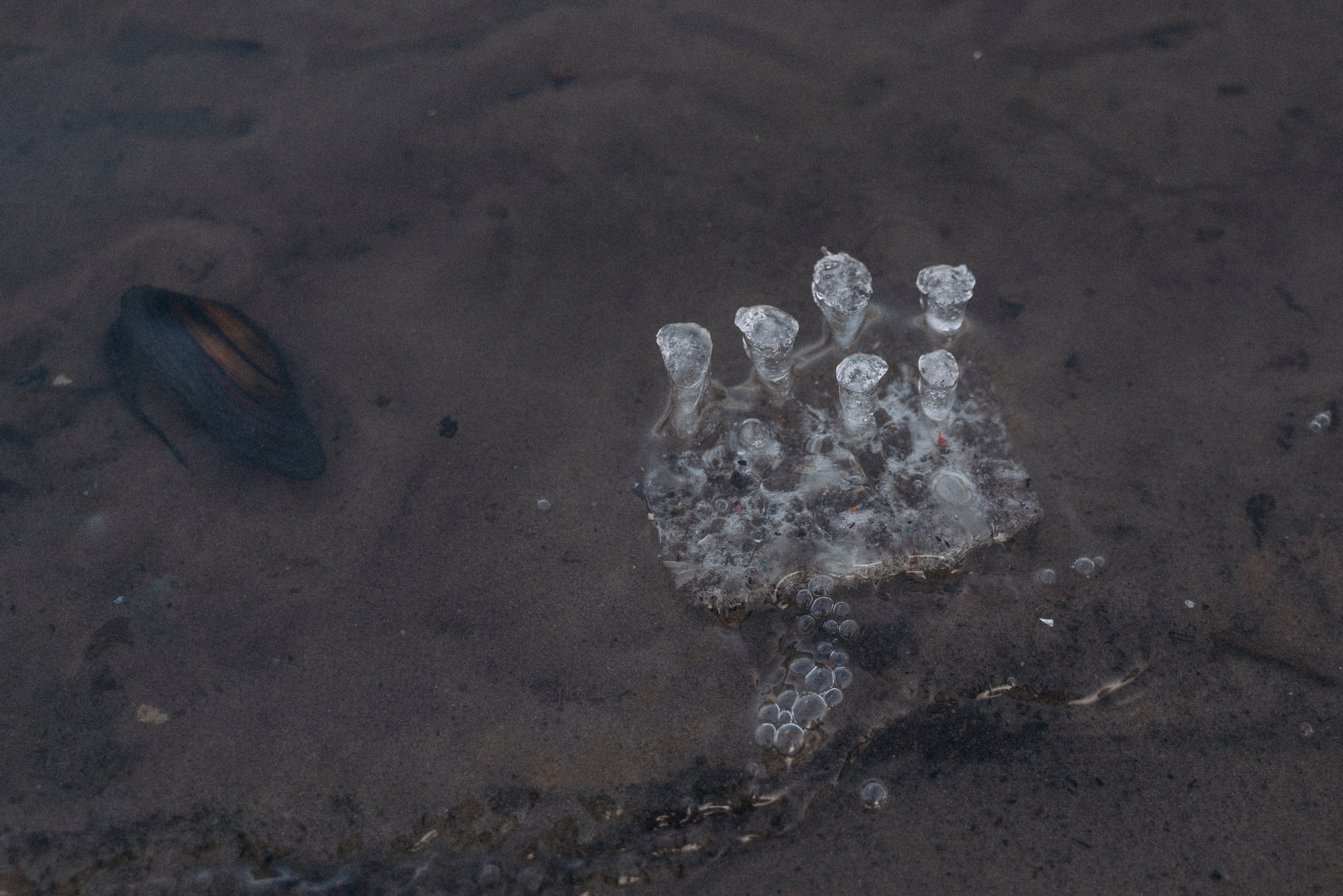 Одним зимним днем…🤍. FotoTanya. Раменское/Жуковский/Бронницы