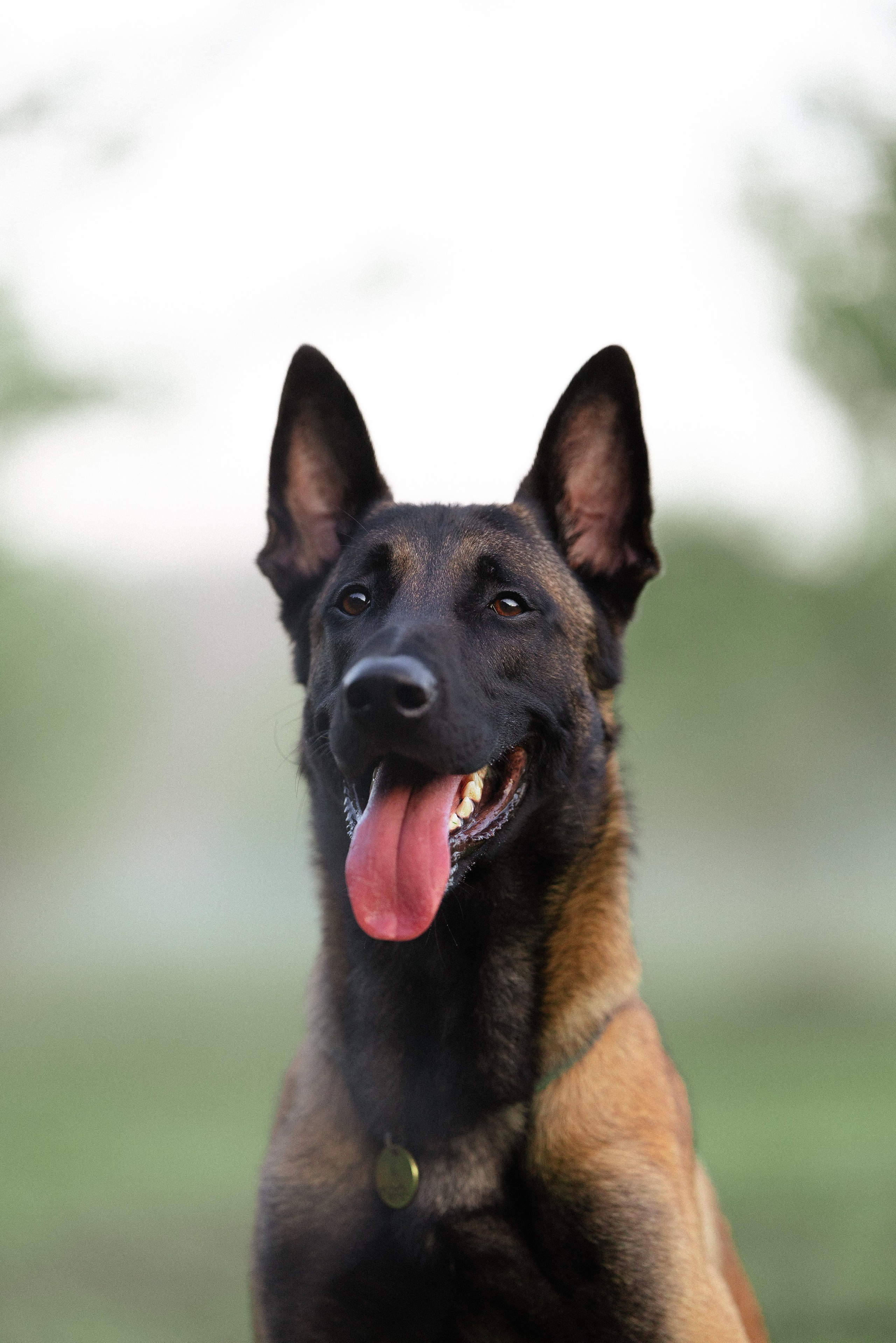 Галина и Кодекс. Фотограф и видеограф анималист Аганина Дарья