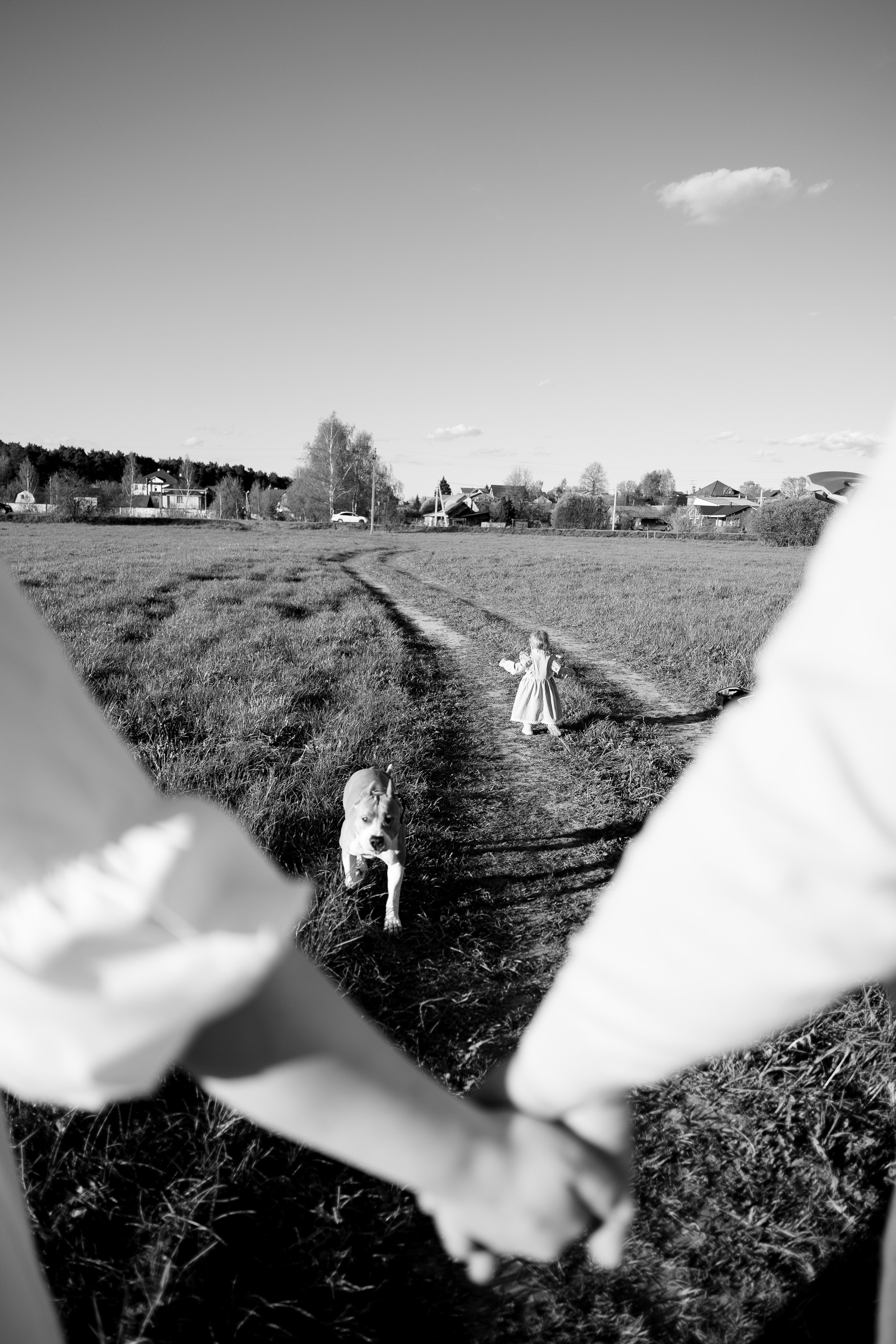 Шуня и ее семья. Фотограф и видеограф анималист Аганина Дарья