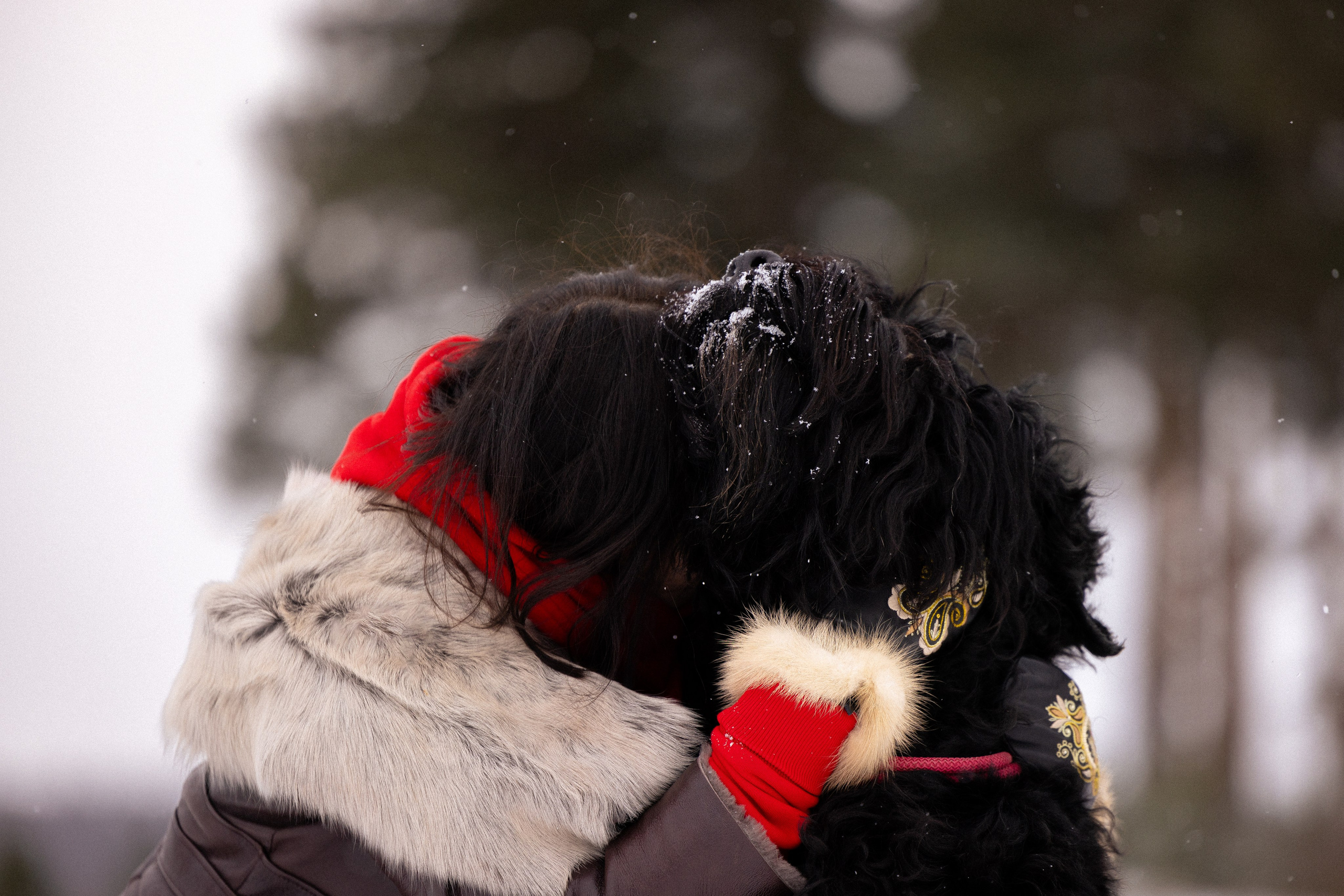 Анастасия и Ирга. Фотограф и видеограф анималист Аганина Дарья