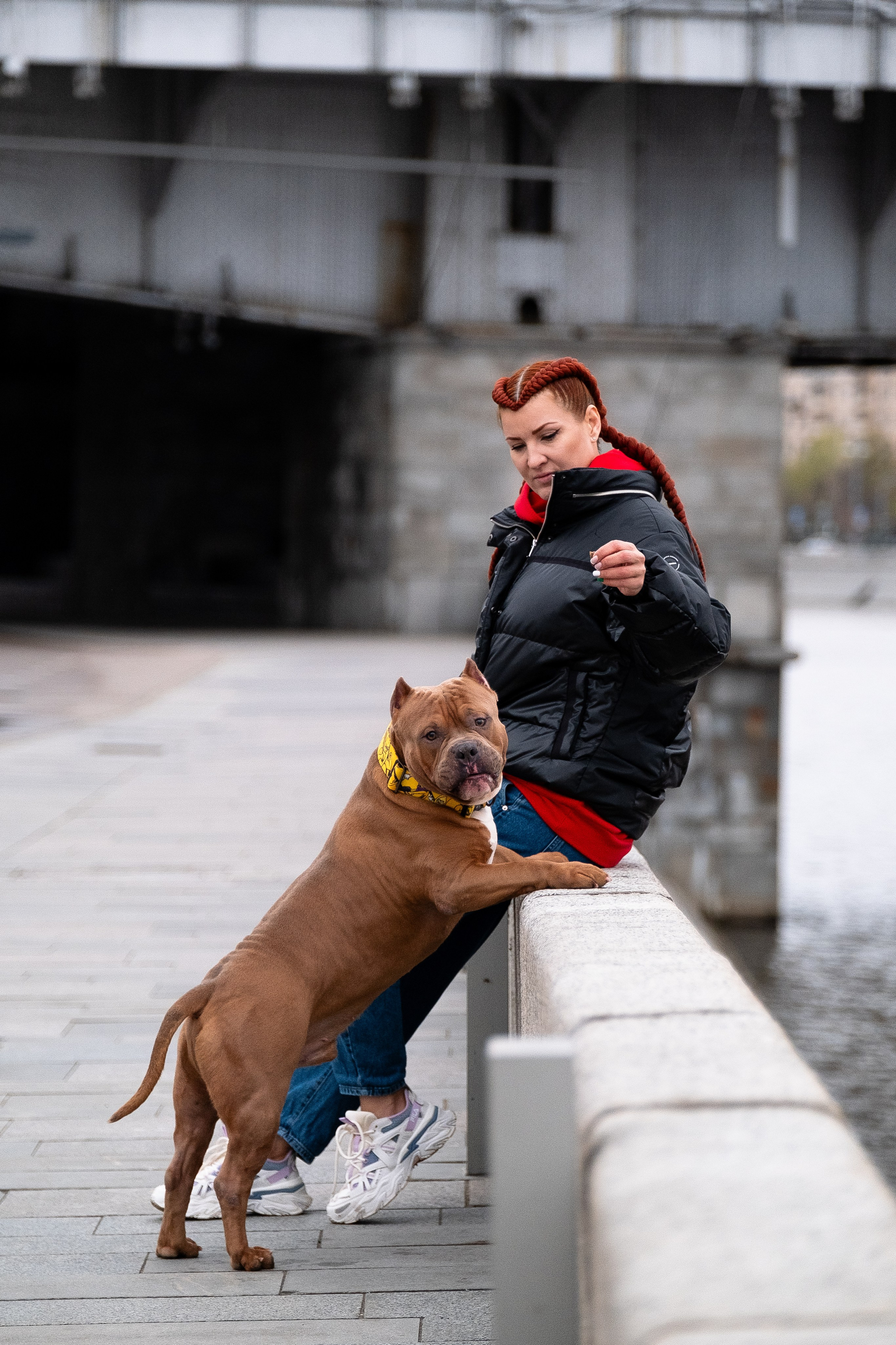 Спай и его семья. Фотограф и видеограф анималист Аганина Дарья