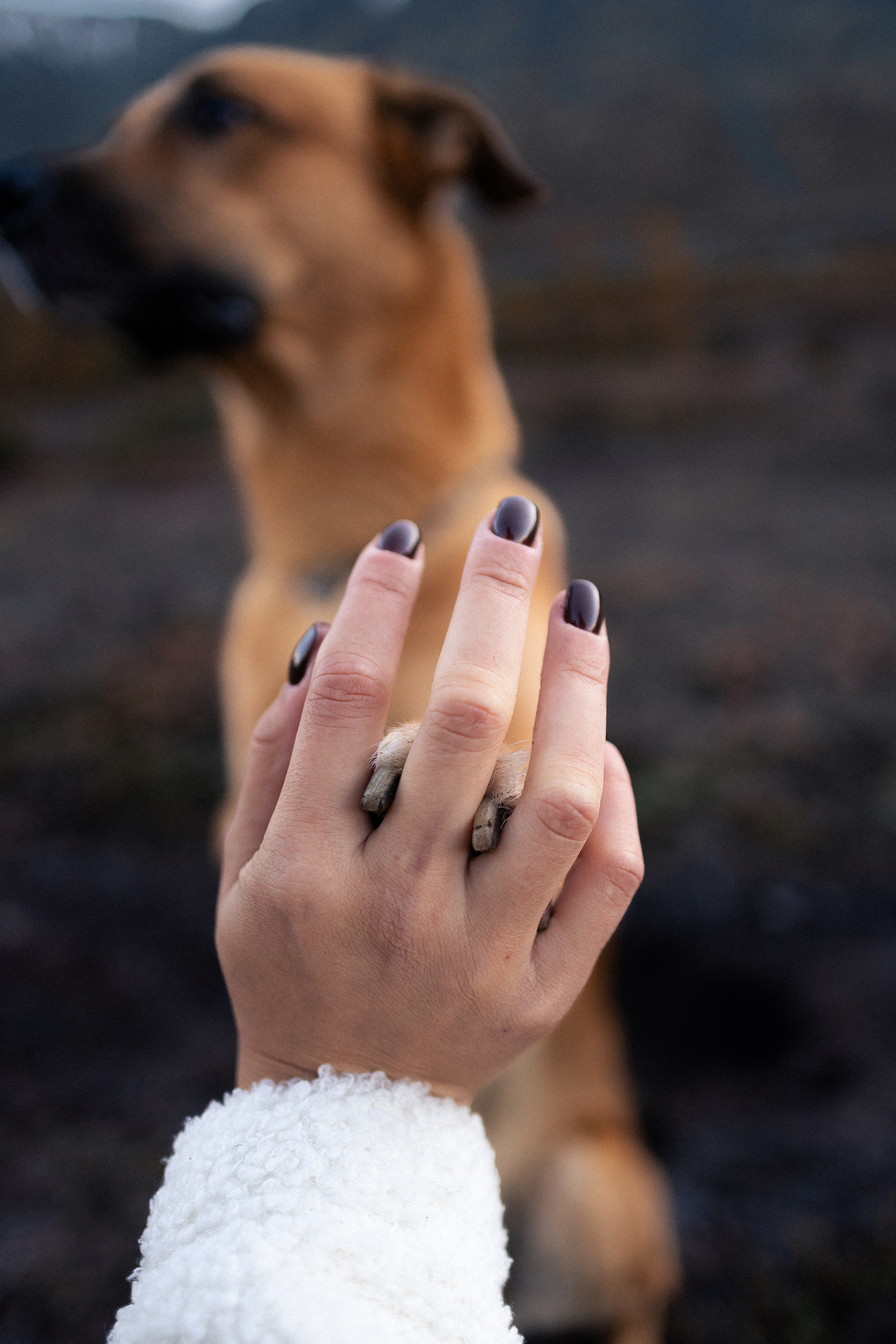 Кольский. Фотограф и видеограф анималист Аганина Дарья