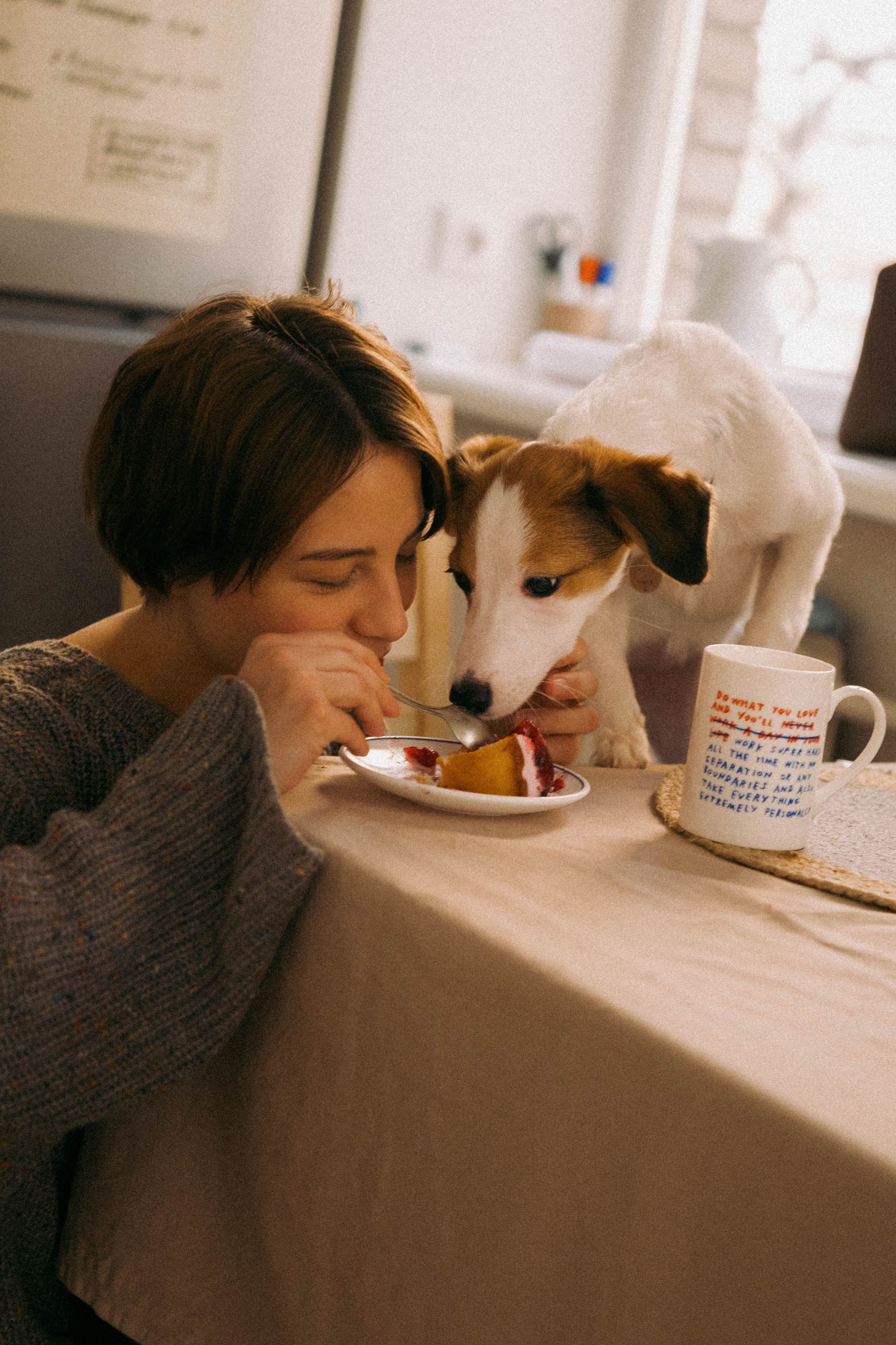 Лика и Клео. Свадебный фотограф Оля Григунова