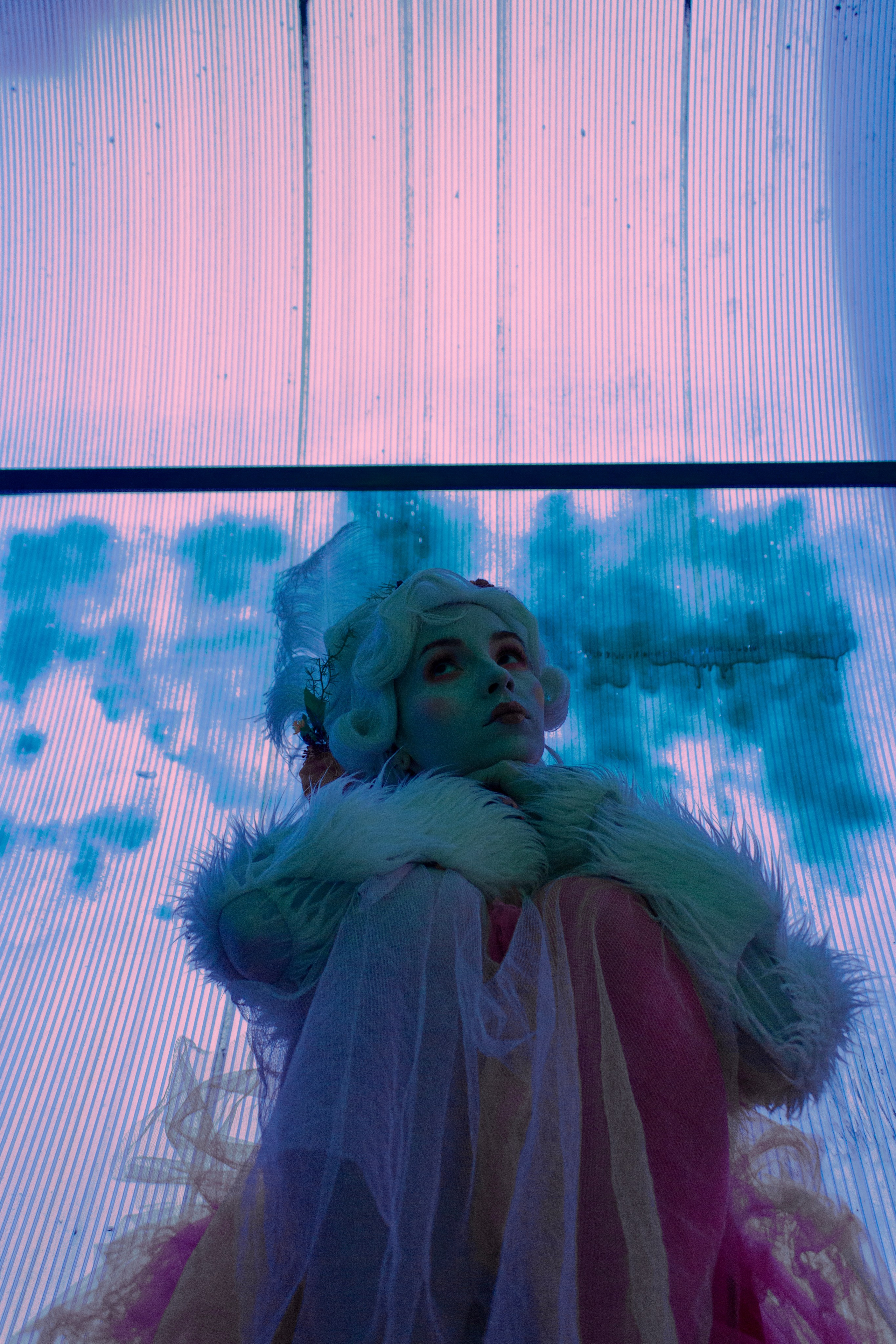 Дама, а вы к нам откуда?