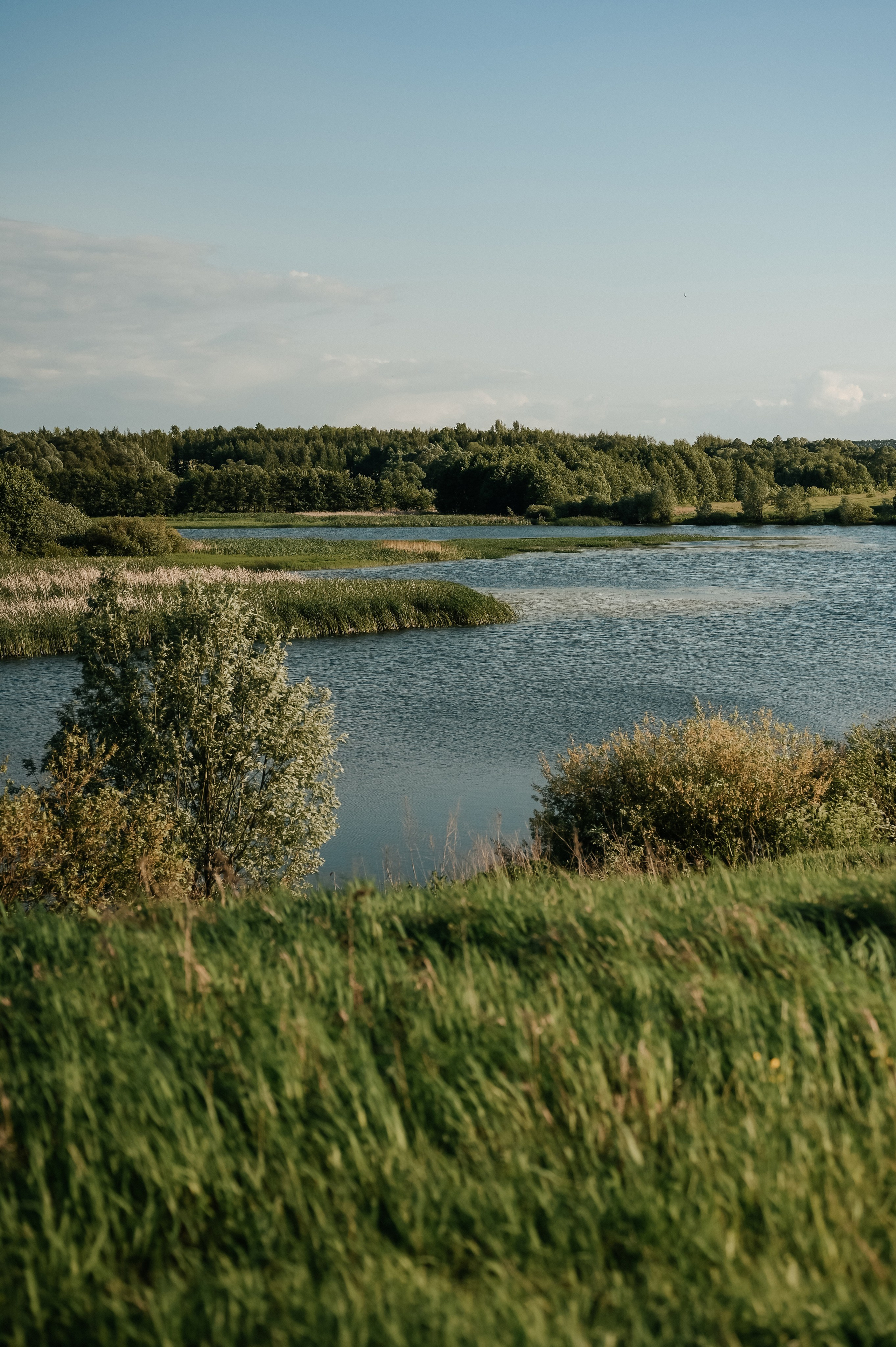 Семейные фотопрогулки. Семейный фотограф Олеся Батурина Рязань