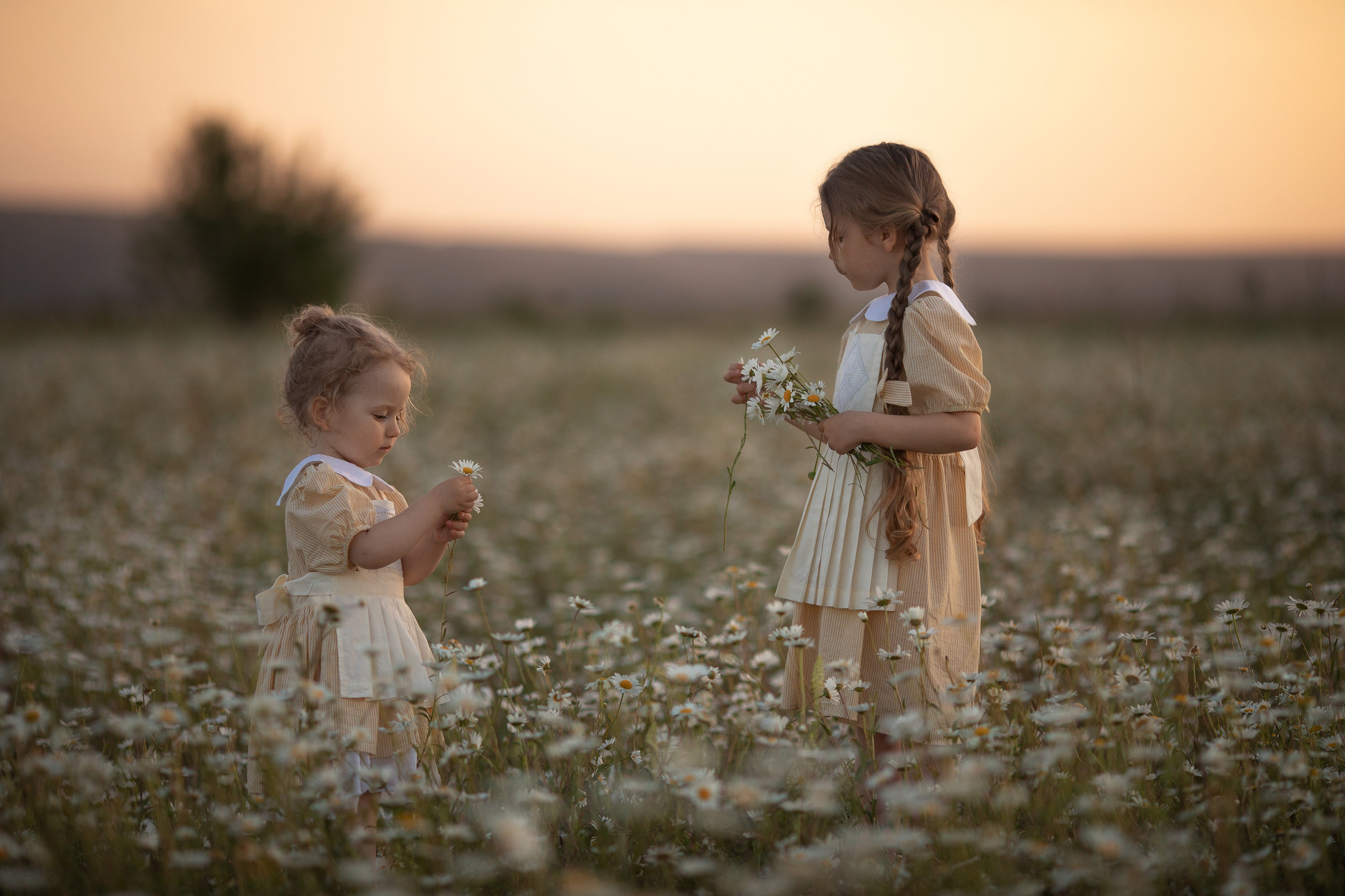 В ромашках. Семейный и детский фотограф в Крыму Екатерина Швец