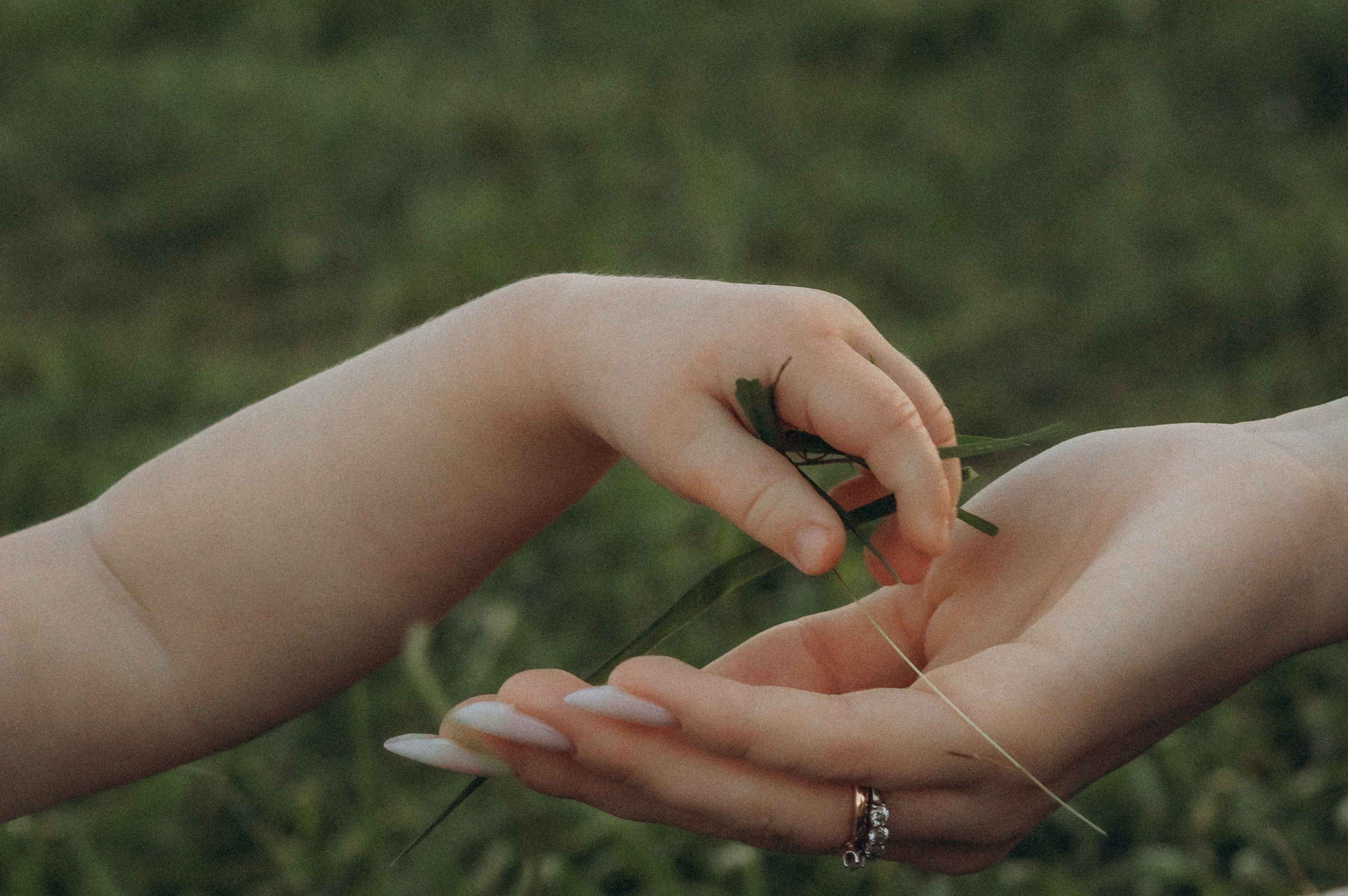 Аромат августа. Семейная летняя фотосессия в парке. Москва. Юлия Левада Семейный и женский фотограф