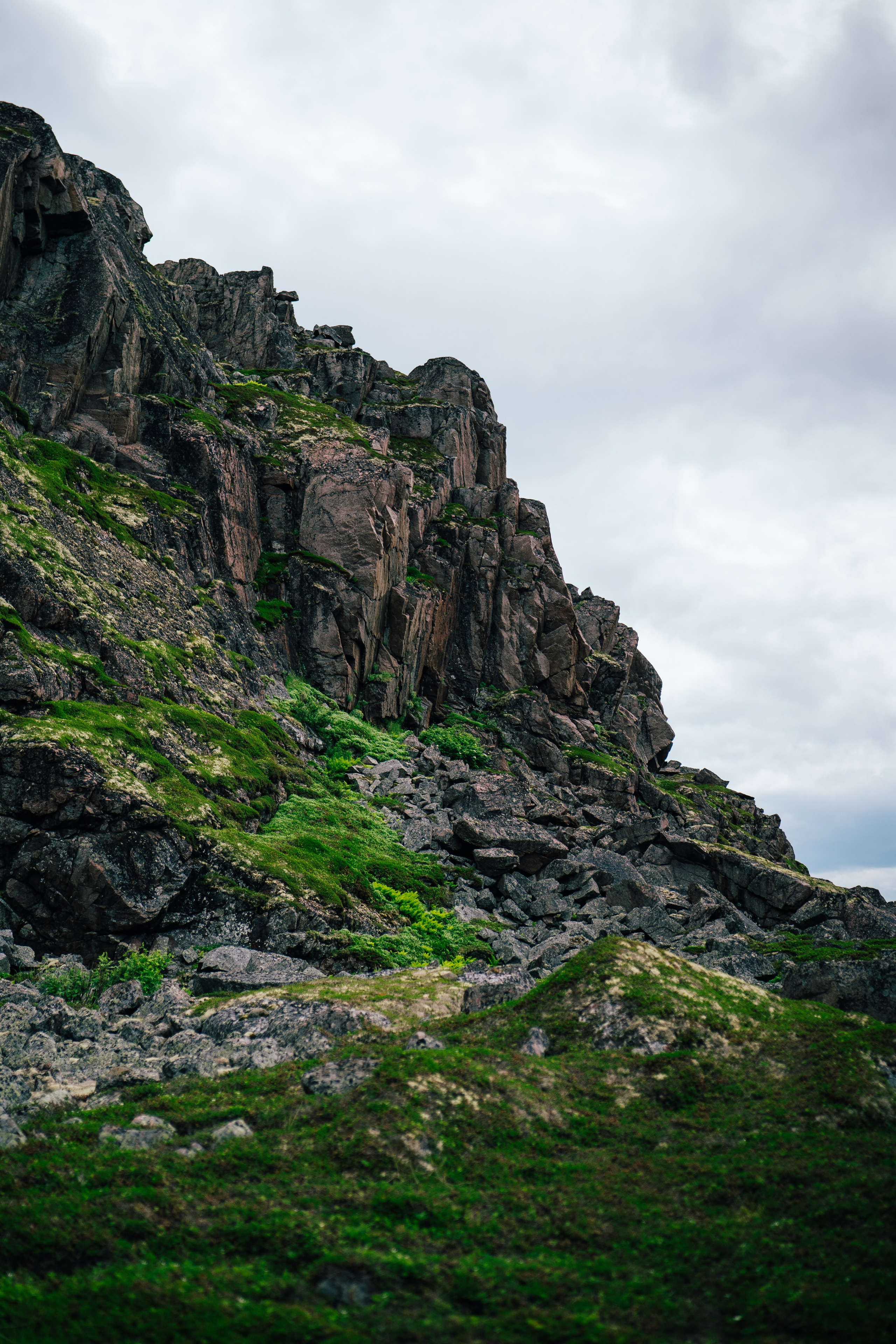 ТЕРИБЕРКА. Создание контента | Фото | Видеосъемка | Александр Ярков