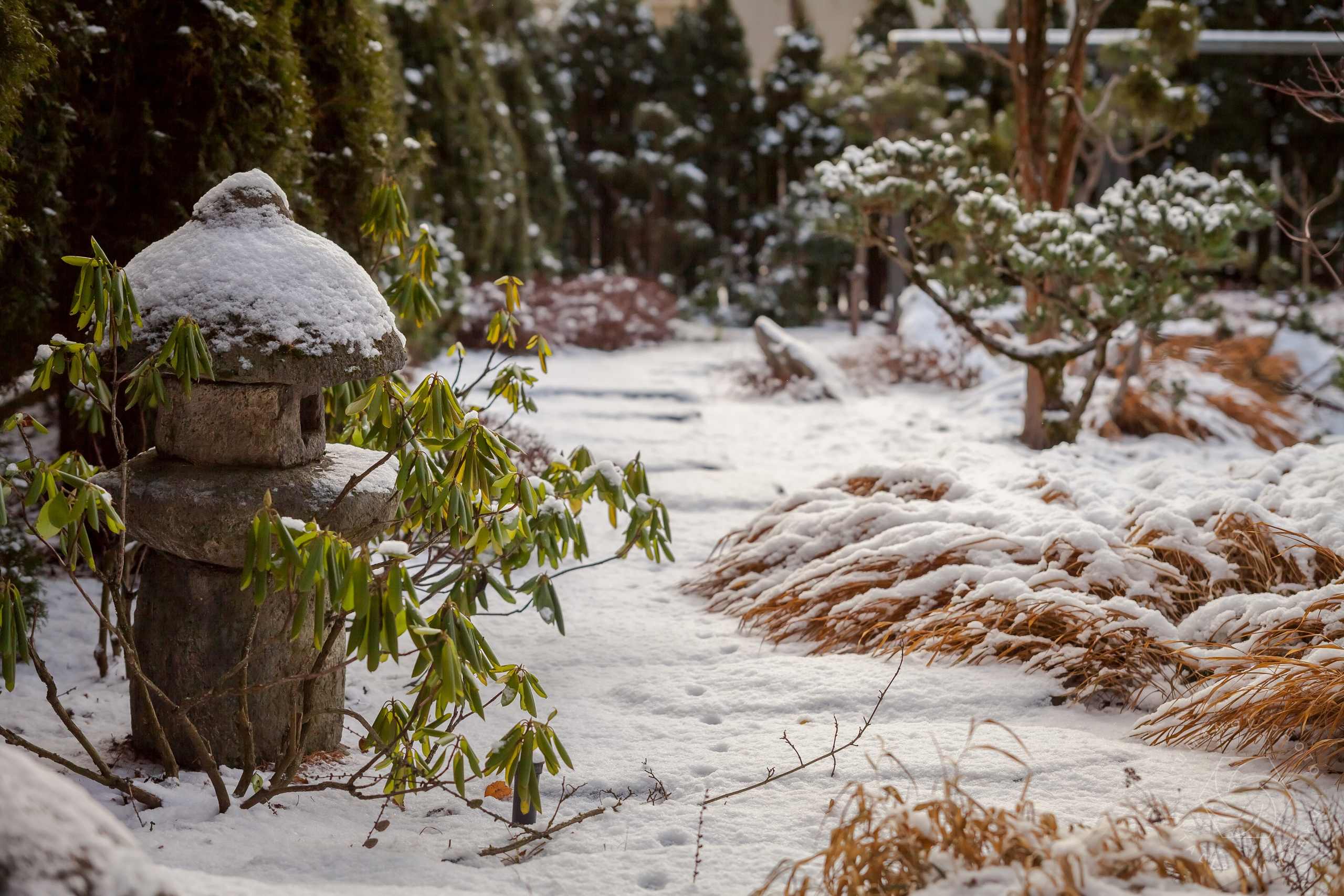 ОДНИМ СОЛНЕЧНЫМ ЗИМНИМ ДНЁМ!. Виталий Туманов — Ландшафтный фотограф