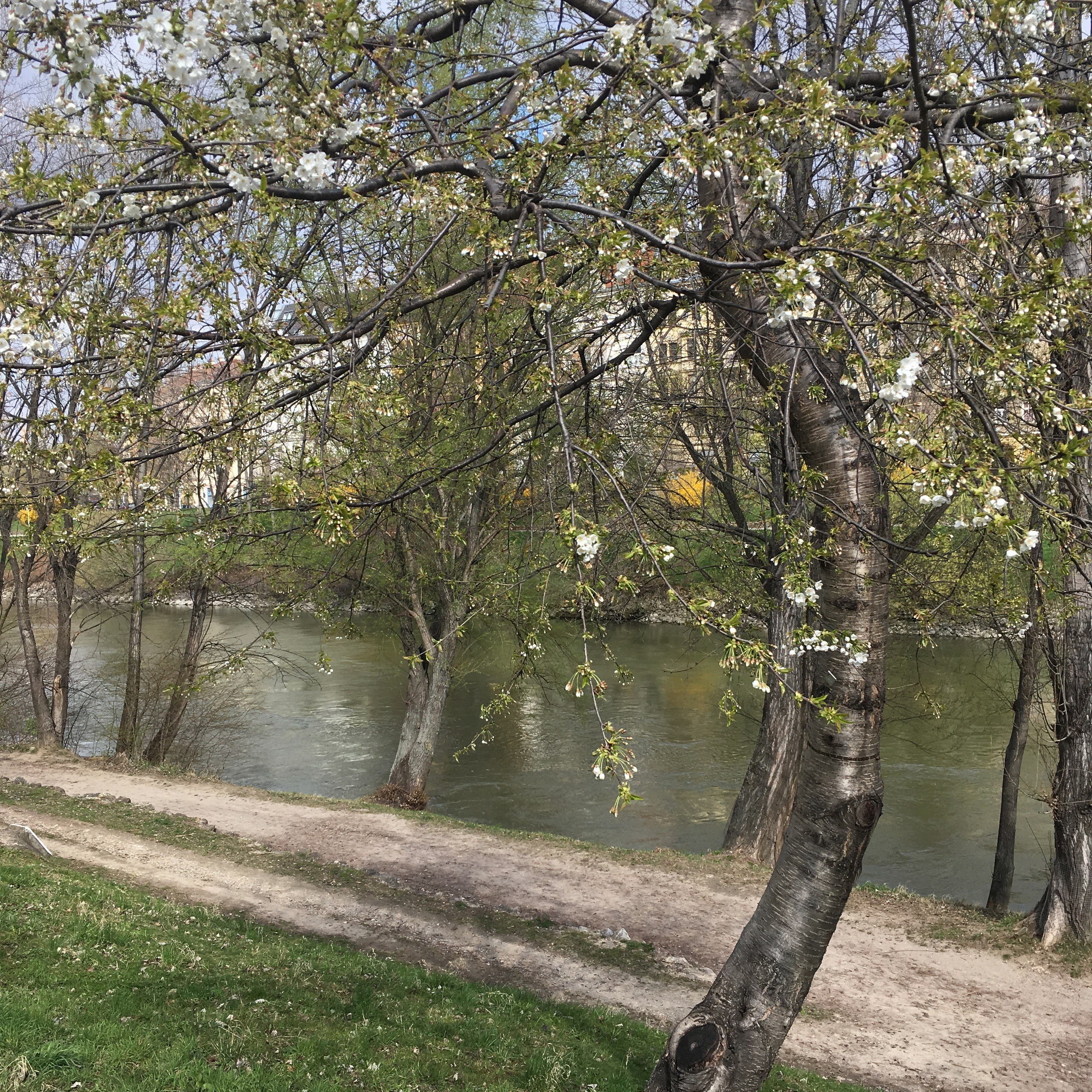 Вена — 19. Своя Мастерская