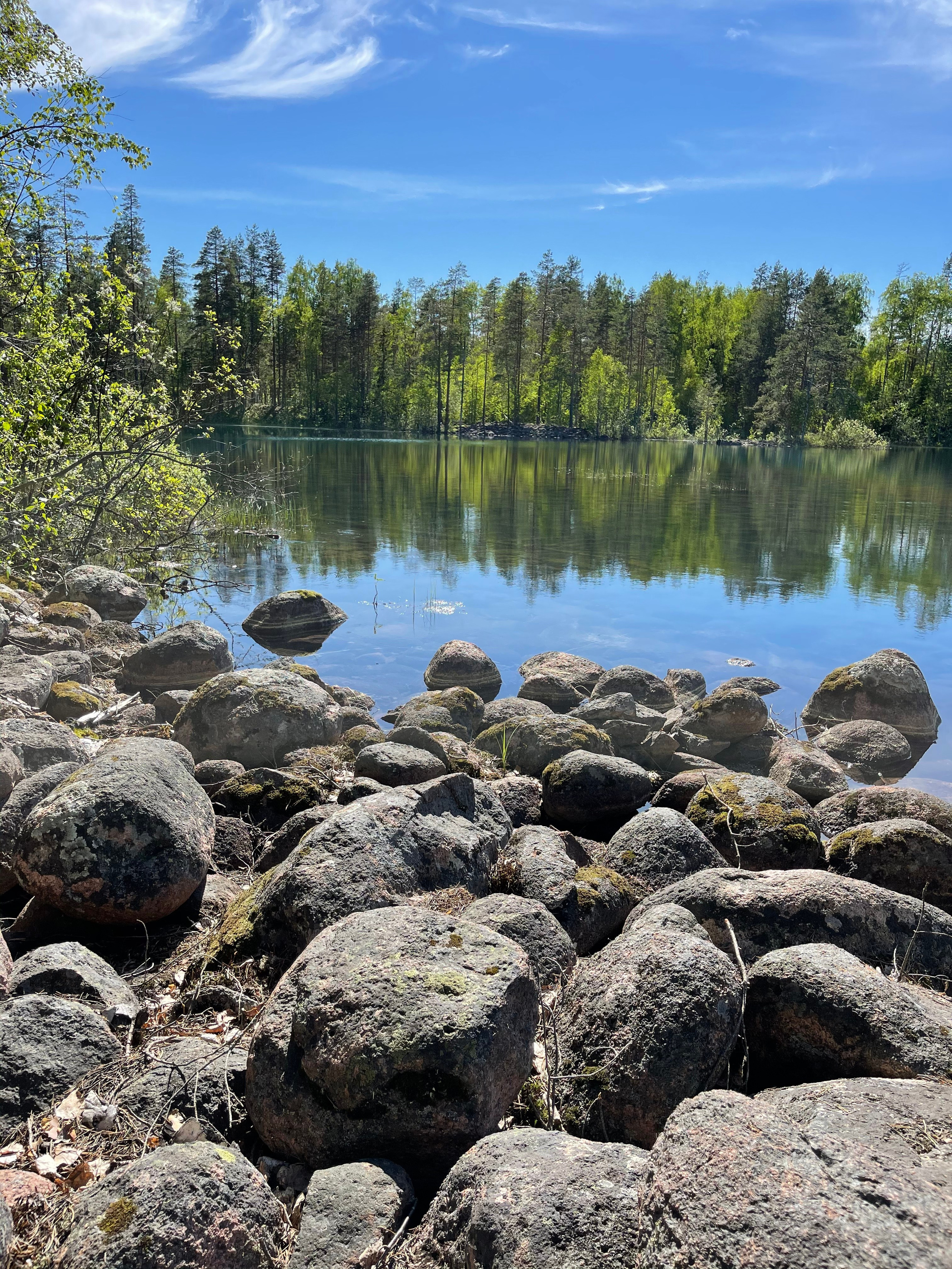 ЛадогаТрофи — 21. Своя Мастерская