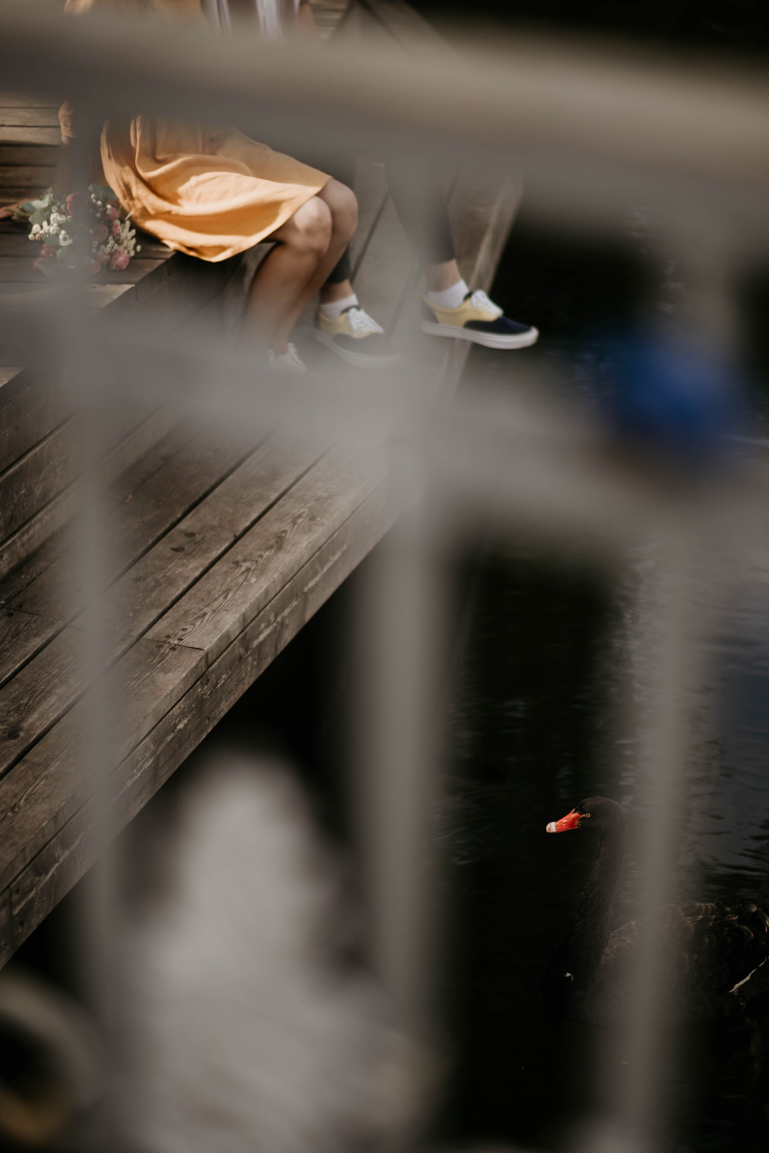 ELOPEMENT. Миша Снимет | твой фотограф