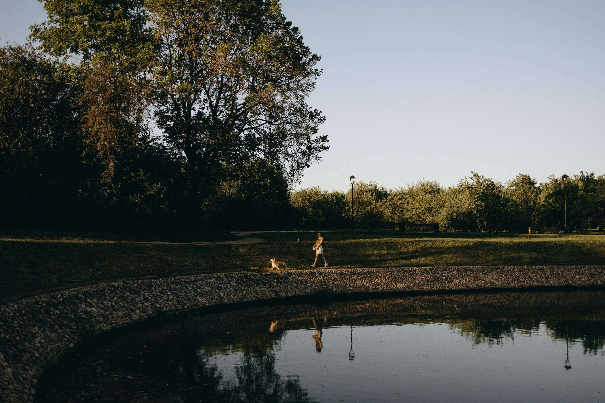 Кристина и Шелби. Фотограф — Анималист | Санкт-Петербург