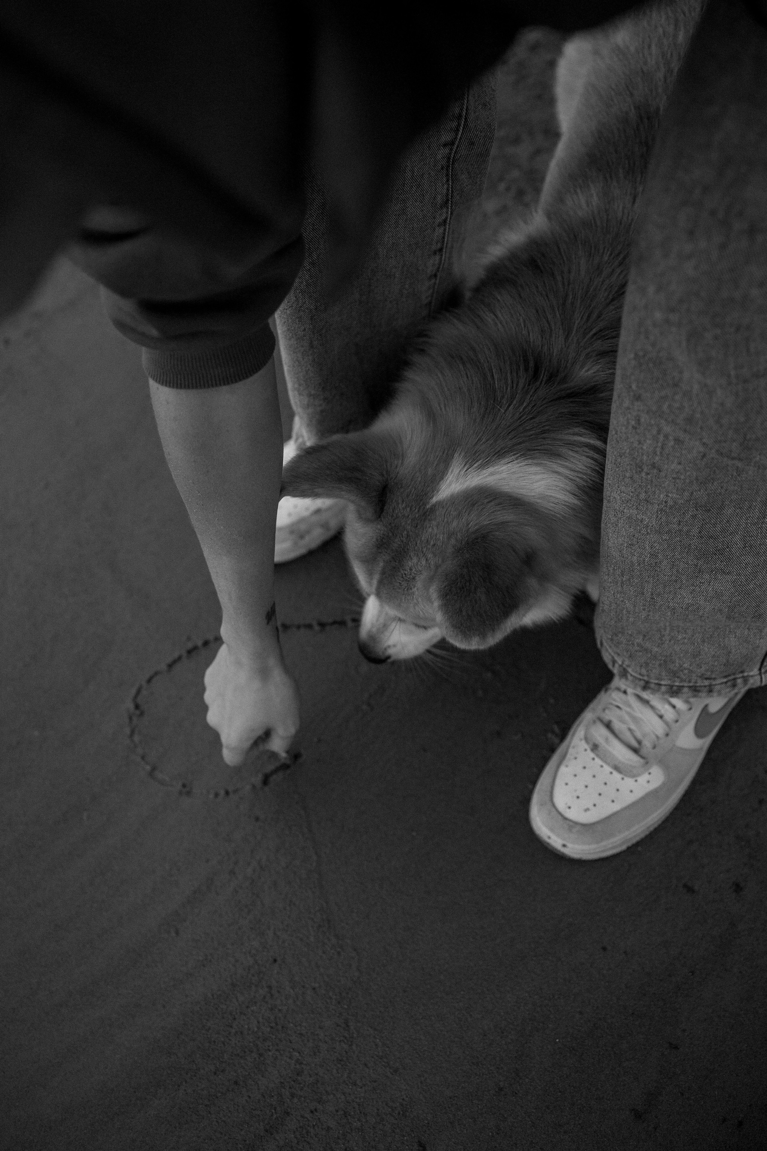 Лиза и Бакс. Фотограф — Анималист | Санкт-Петербург