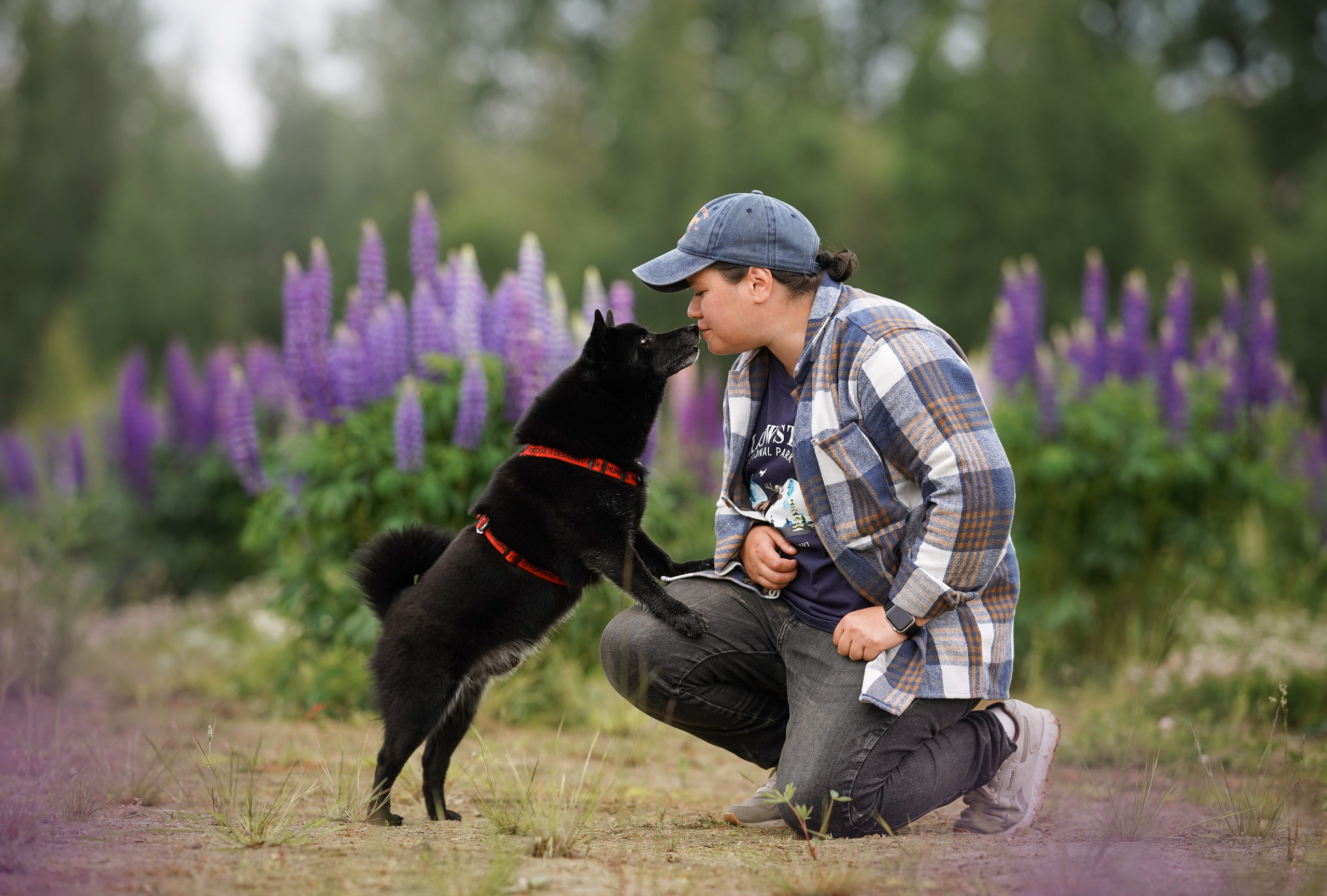 Аня Арчи и Панда в люпинах. Фотограф-анималист в Санкт-Петербурге Яна Мартынова