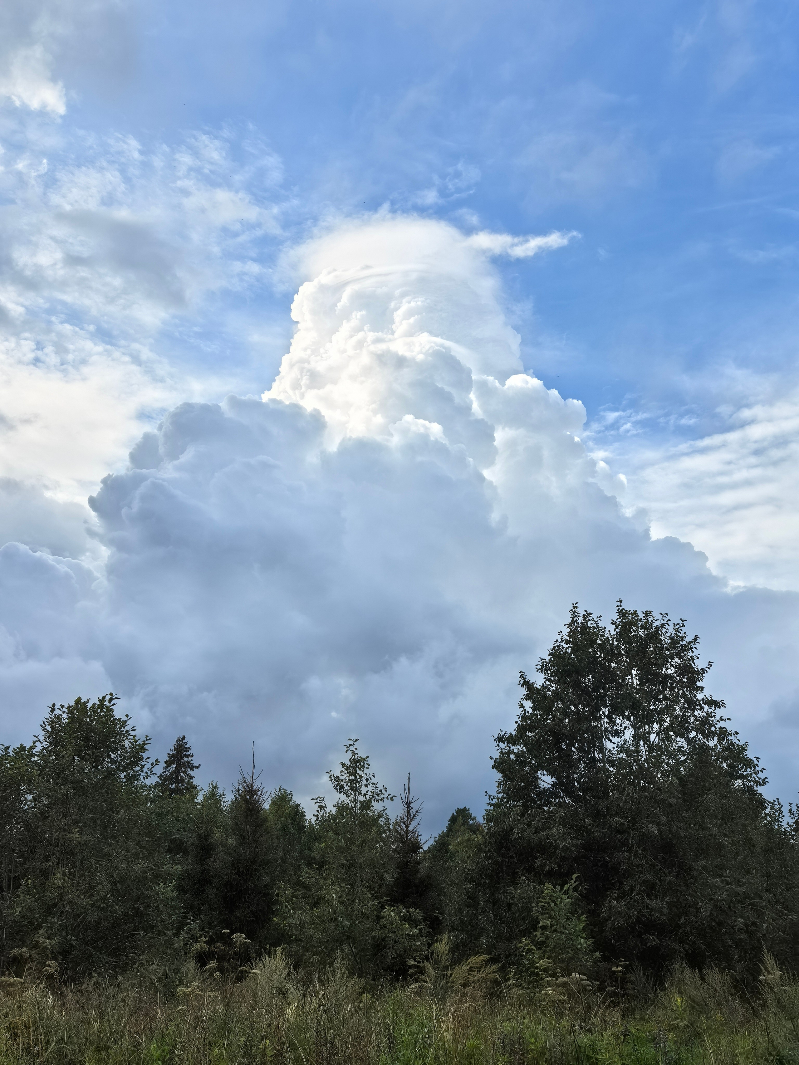 Чудесная природа. Школьные выпускные альбомы в Москве Марина Николаева