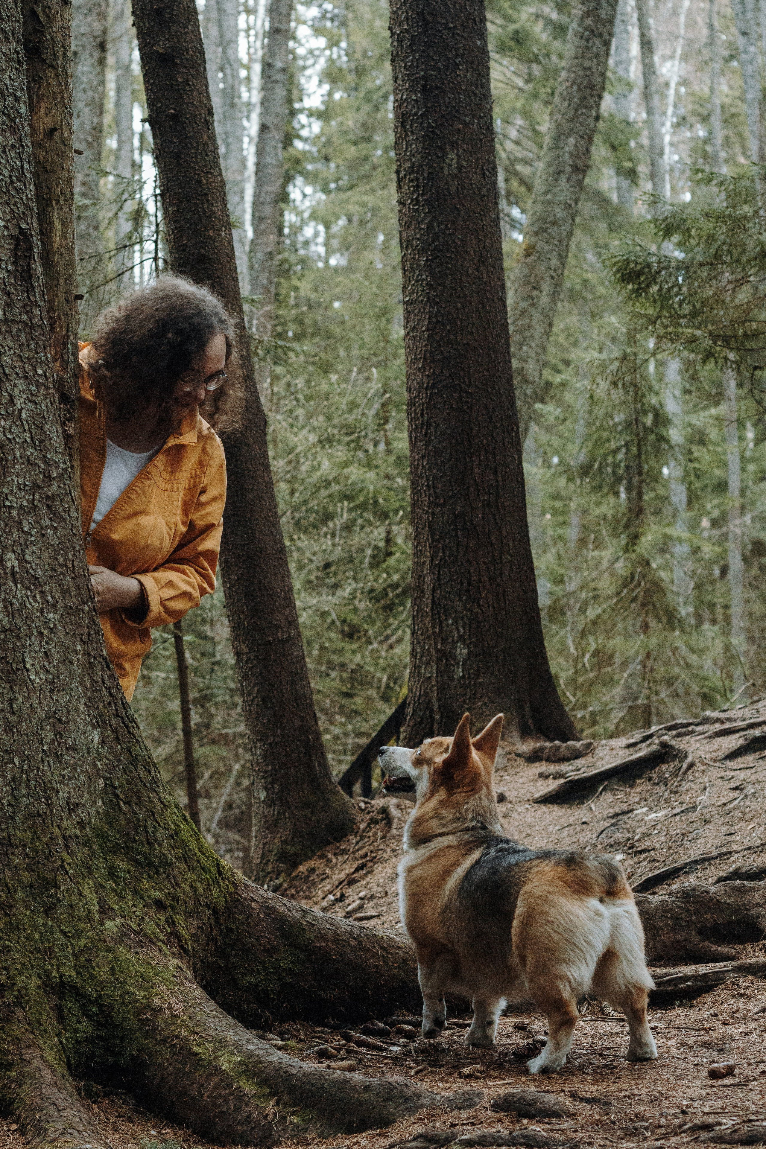 Лена и Ева. Фотограф-анималист в Санкт-Петербурге