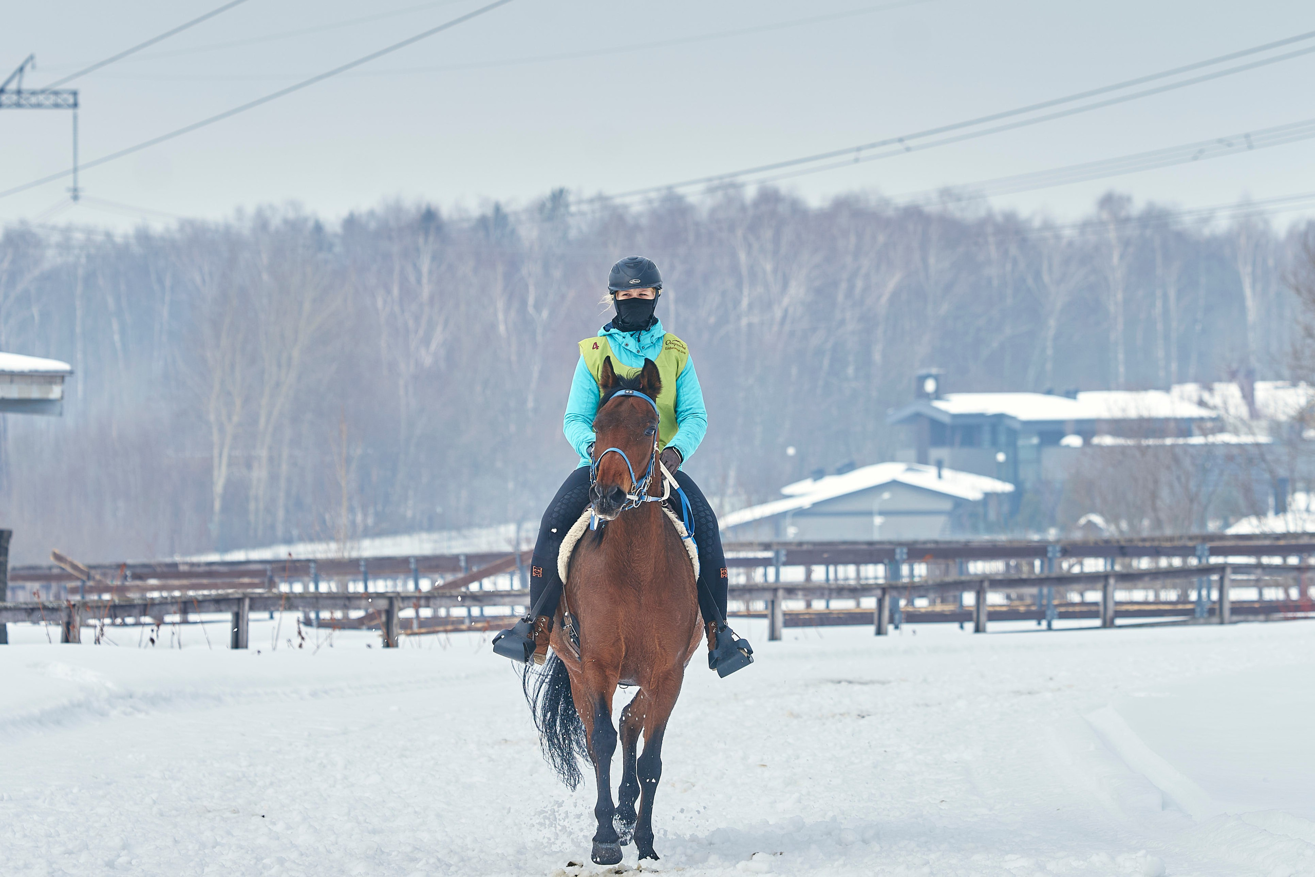 HORSE RACING. Фотограф Наталья Леонова