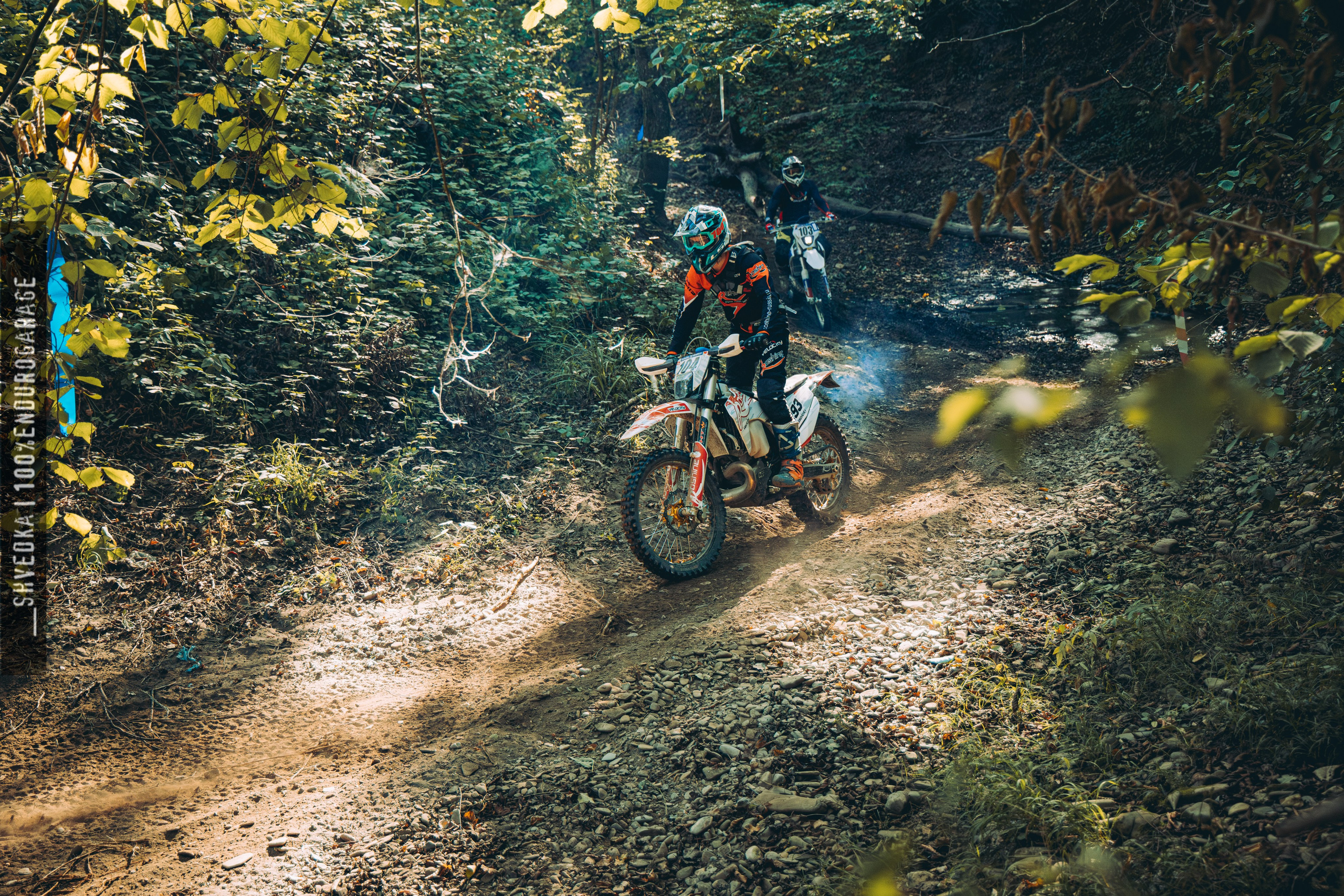 2 лесной день. Ваш экстрим фотограф Кудрева Яна