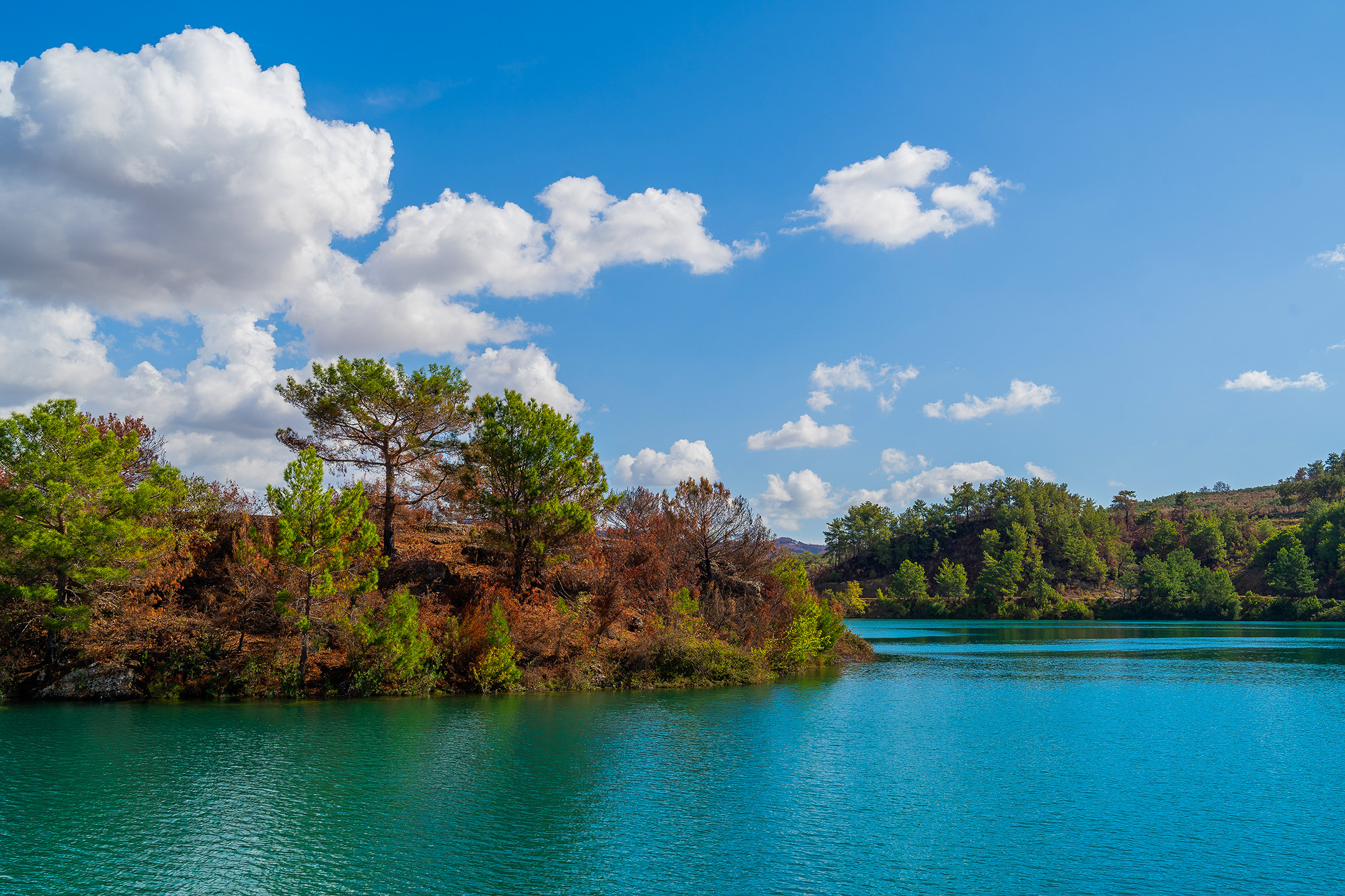Даниил Мурай. Семейное фото. Мужской портрет. Женский портрет. Даниил Мурай — Фотограф Зеленоград- Аланья