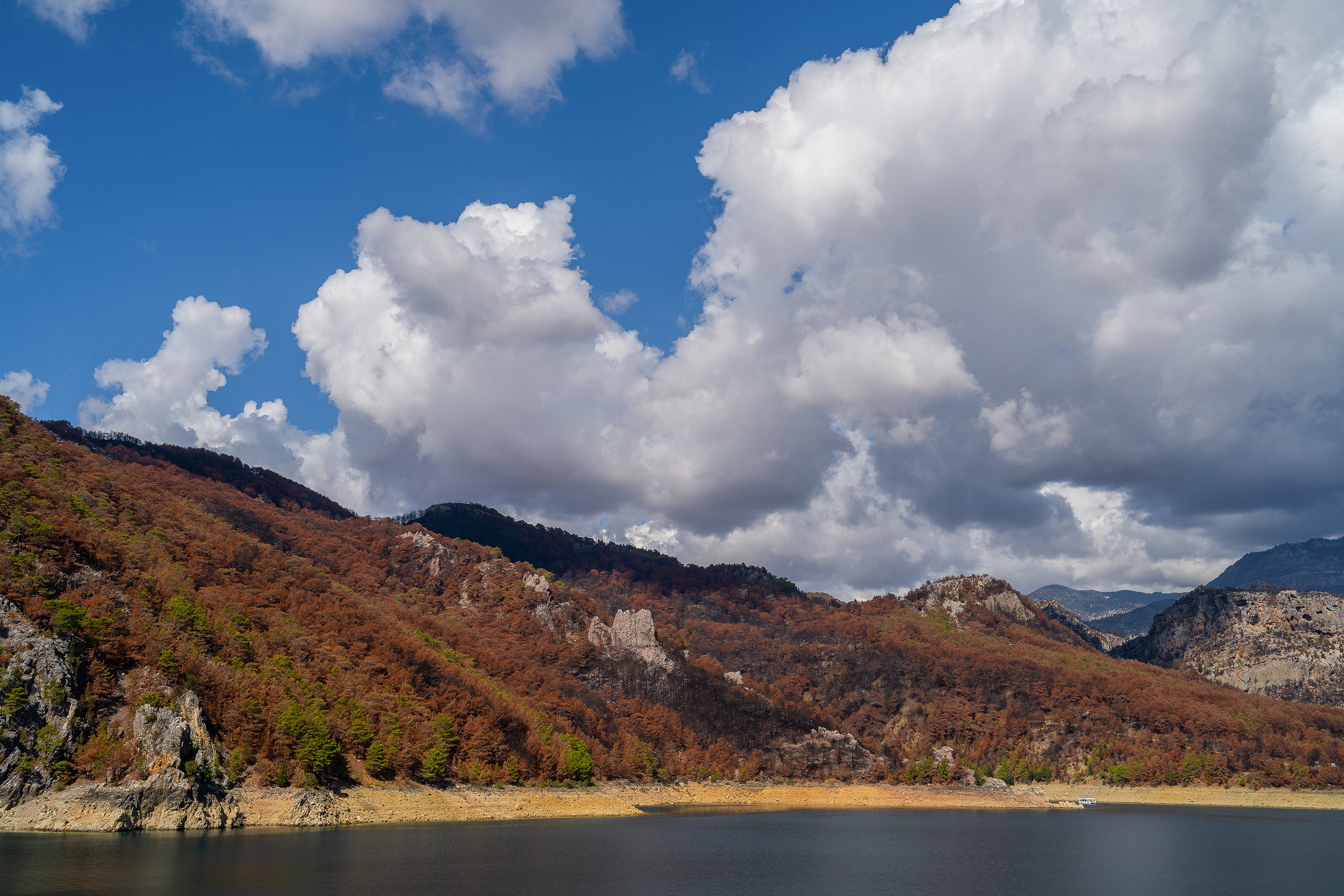 Даниил Мурай. Семейное фото. Мужской портрет. Женский портрет. Даниил Мурай — Фотограф Зеленоград- Аланья