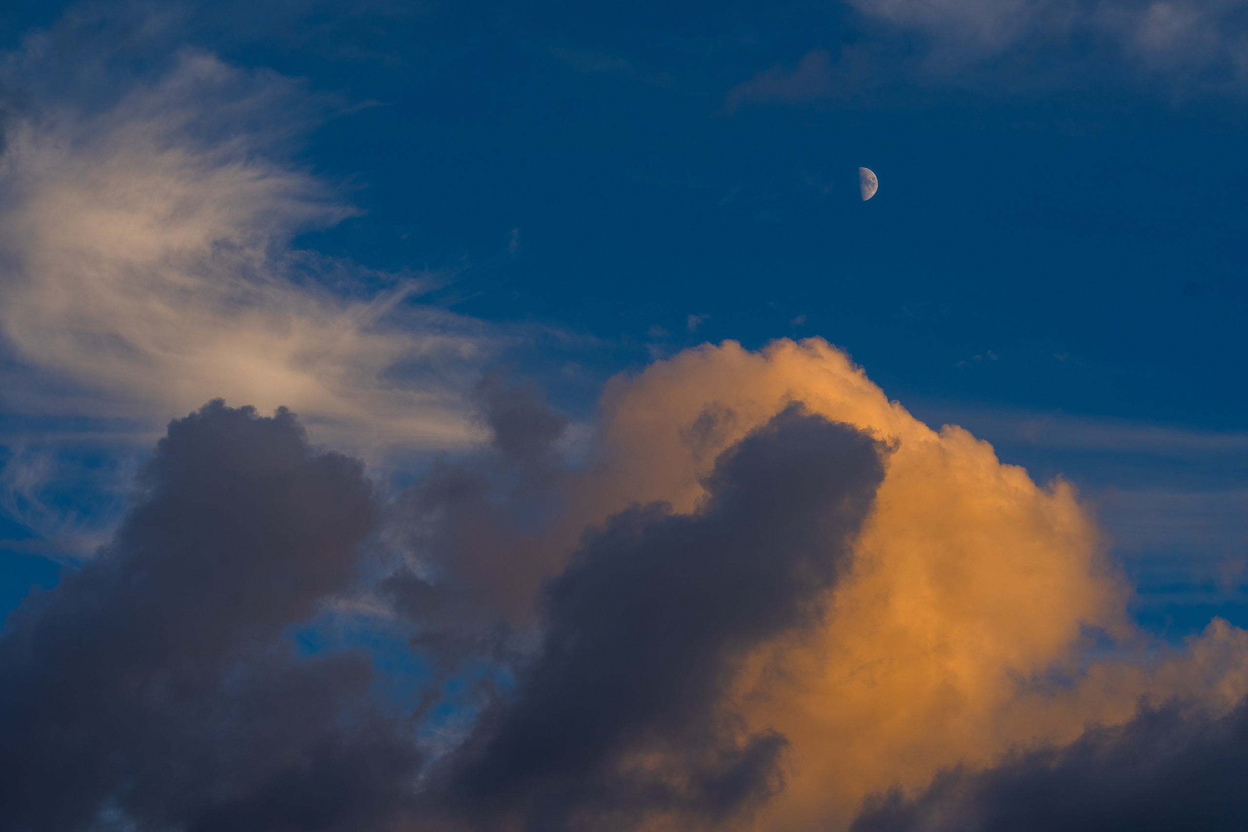 Даниил Мурай. Семейное фото. Мужской портрет. Женский портрет. Даниил Мурай — Фотограф Зеленоград- Аланья