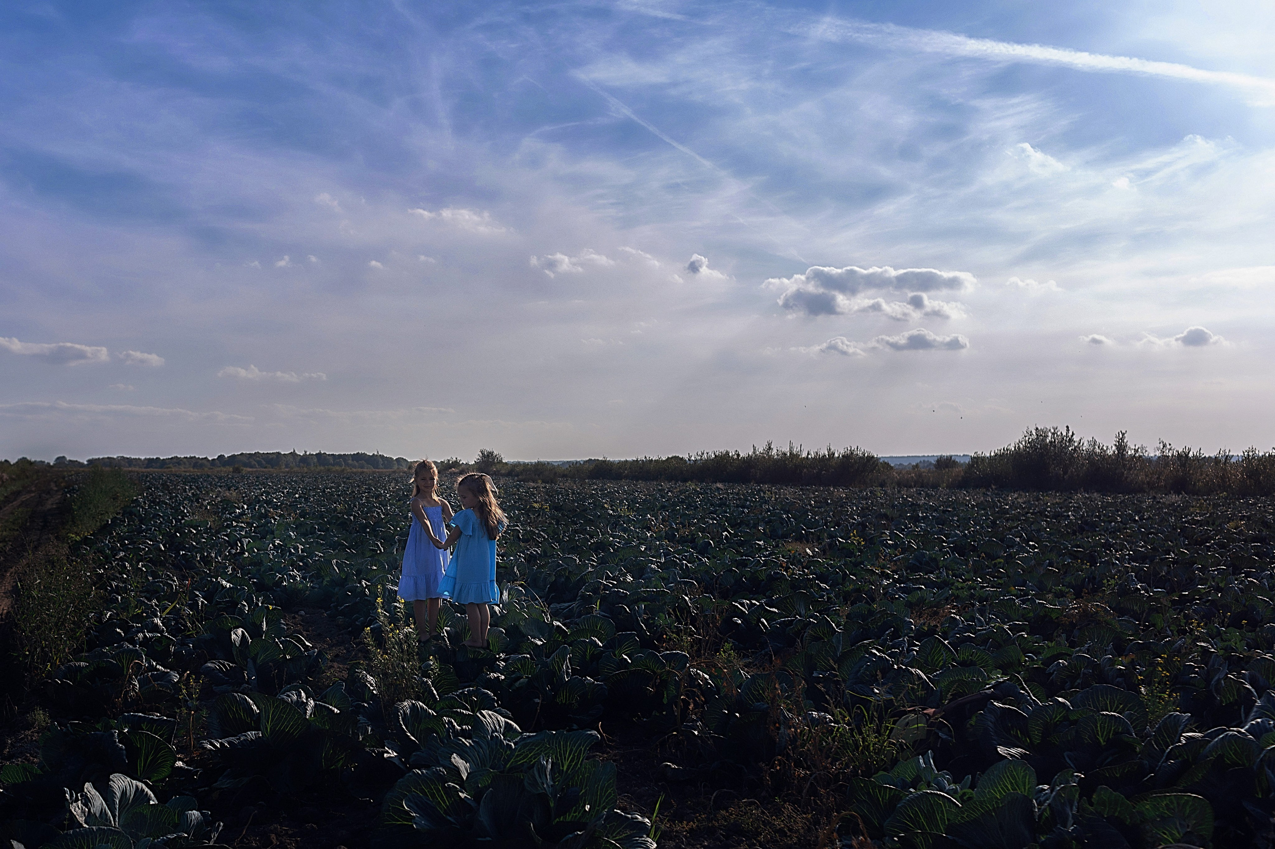 Капустное поле_Ленинградская область. Семейный фотограф в Санкт-Петербурге
