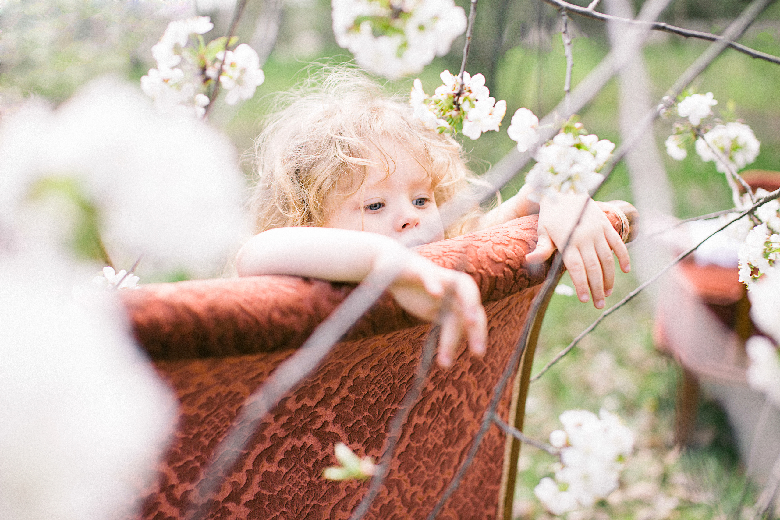 Blossom Garden. Детский и семейный фотограф Наталья Шигидина