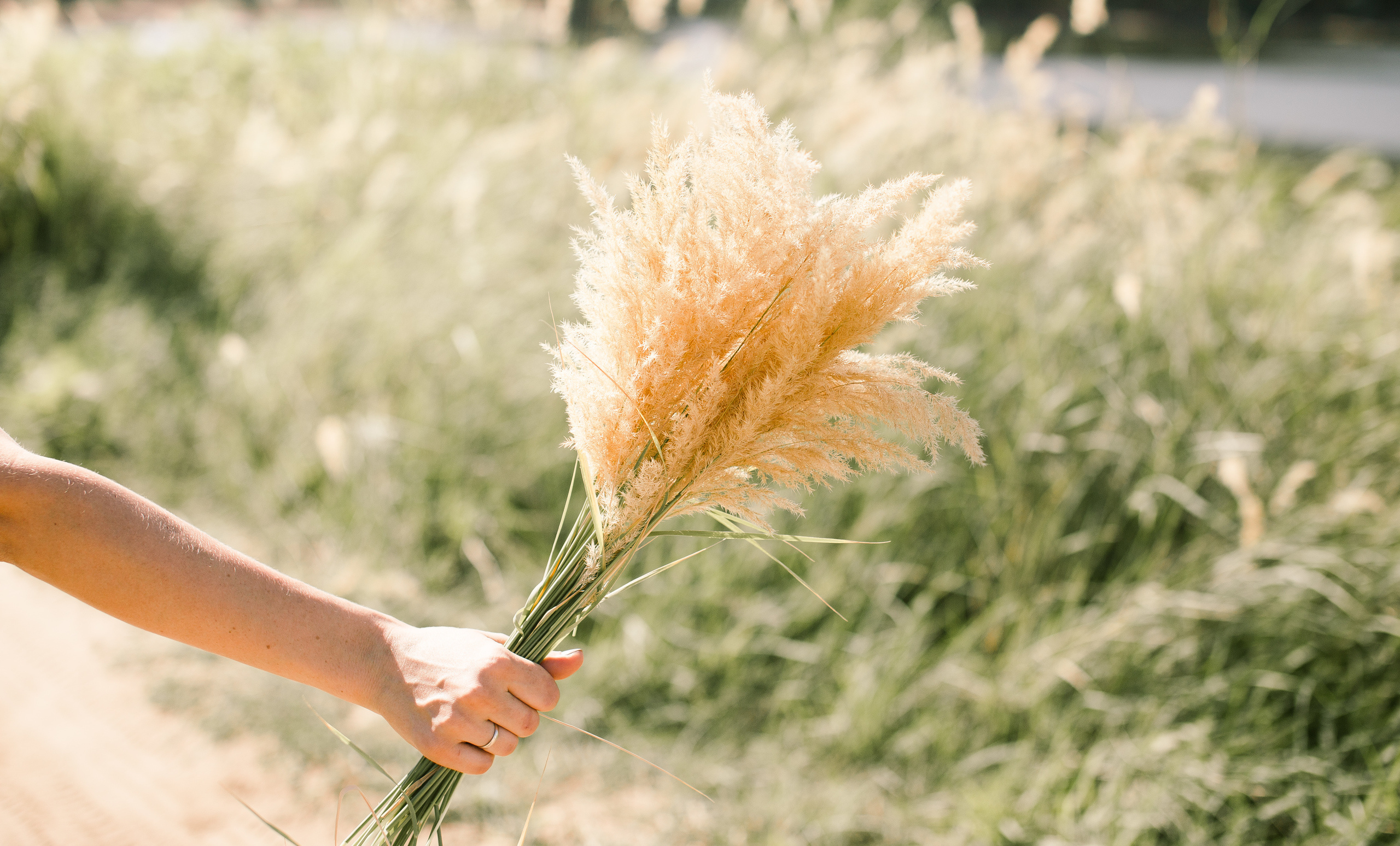Kite on the wind. Детский и семейный фотограф Наталья Шигидина