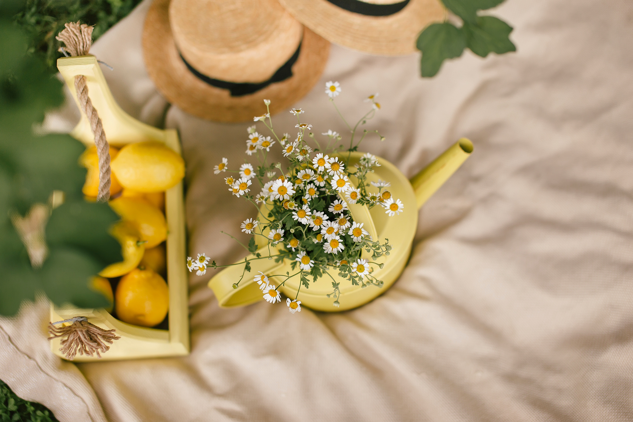 Пикник в желтом. Детский и семейный фотограф Наталья Шигидина