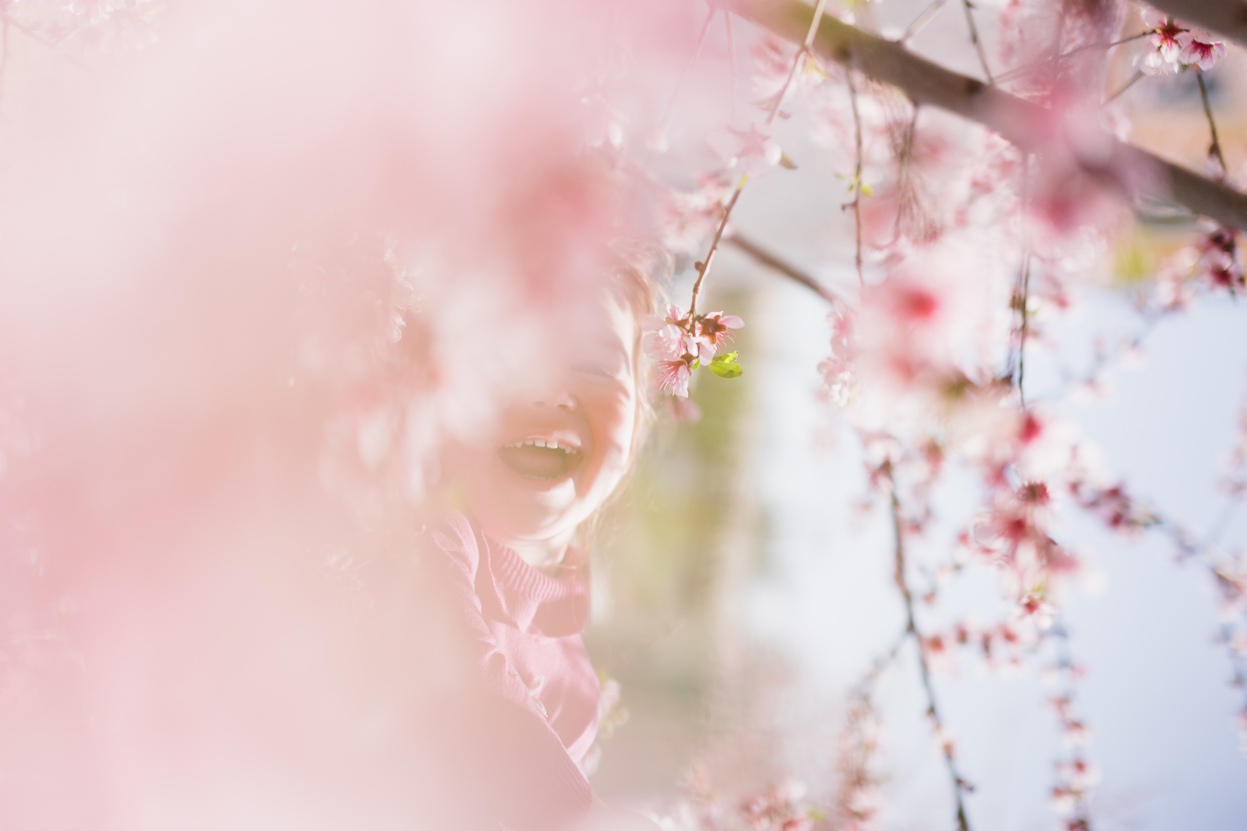 Нюся и абрикосовые бобочки. Детский и семейный фотограф Наталья Шигидина