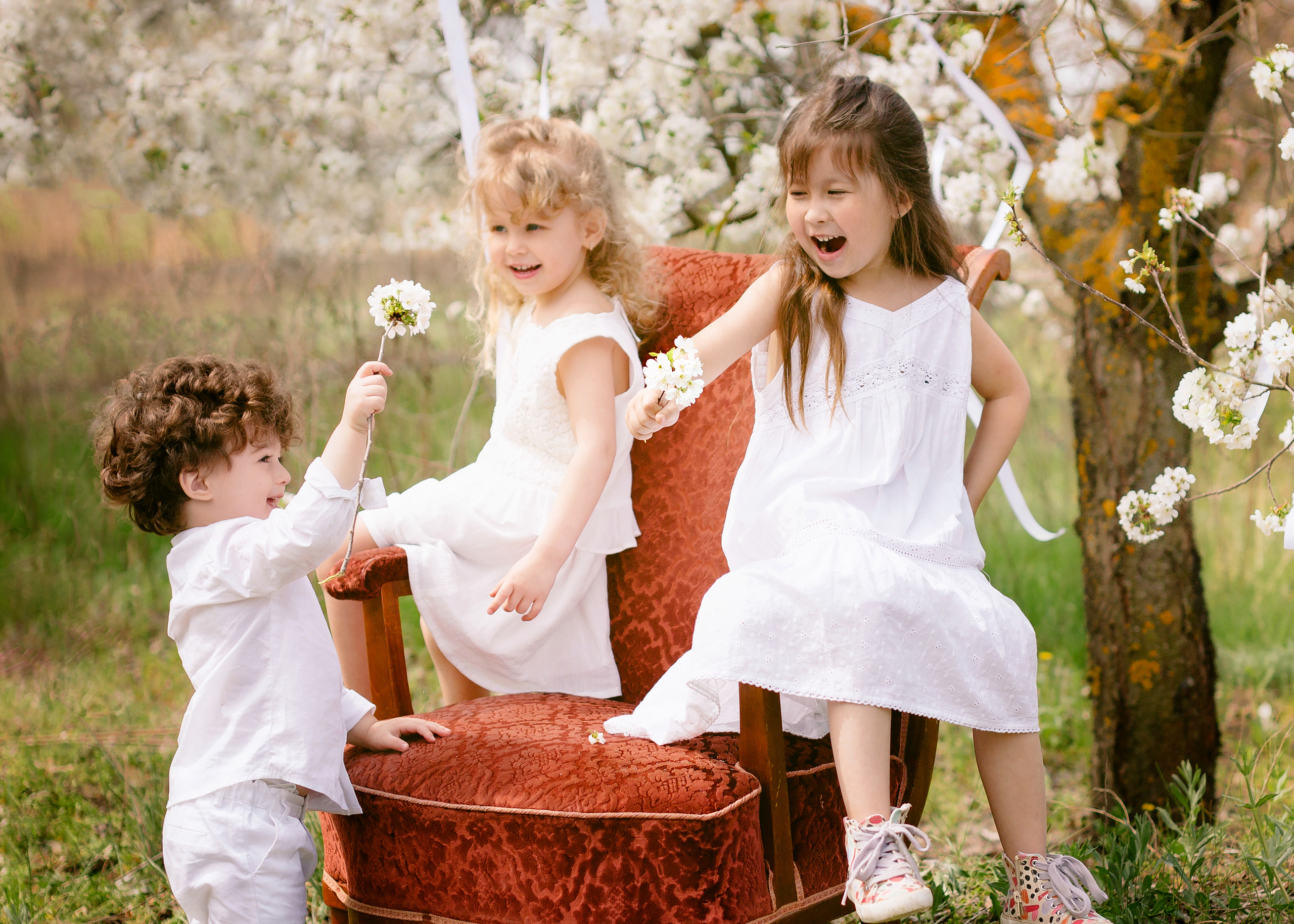 Blossom Garden. Детский и семейный фотограф Наталья Шигидина