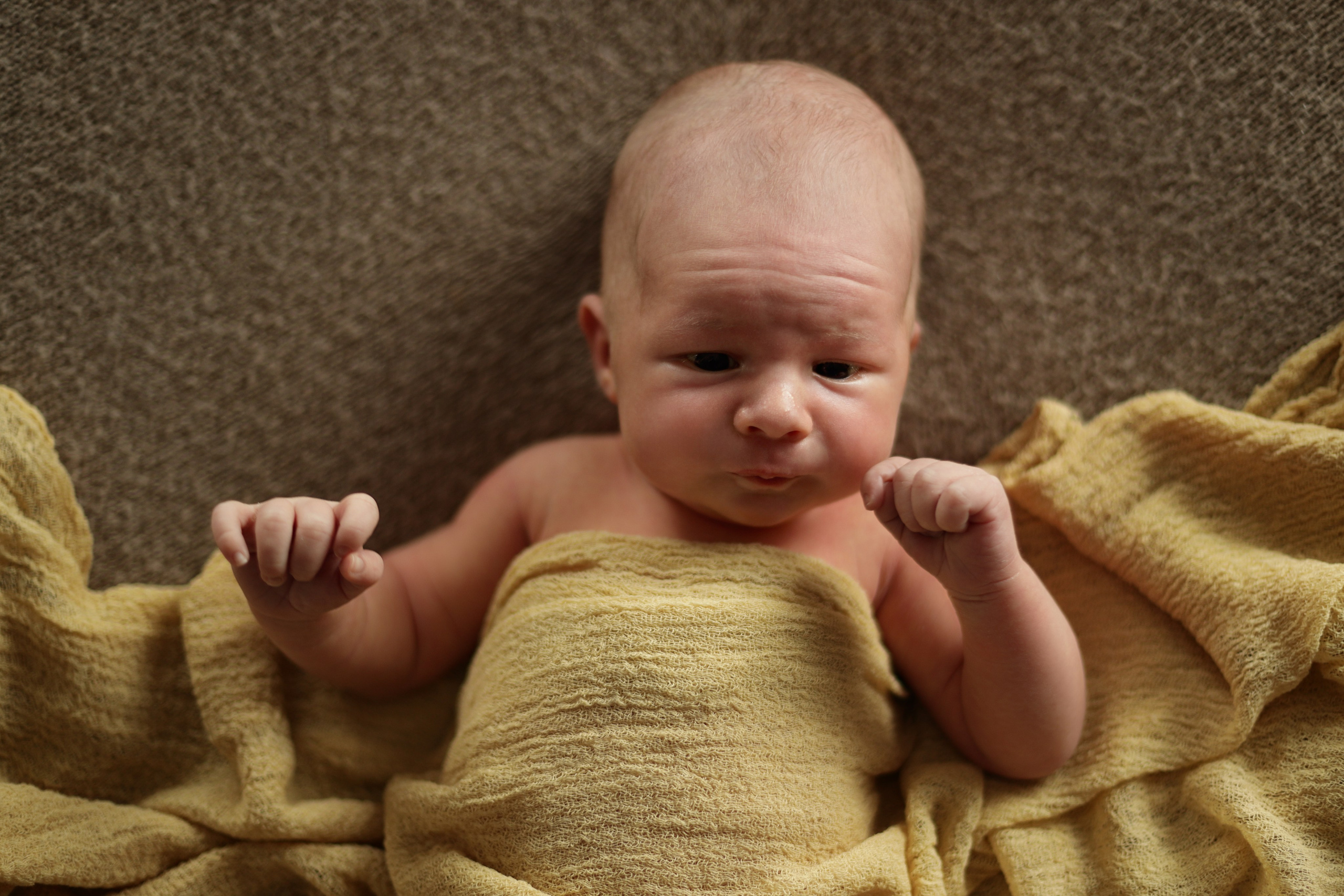 Съемка новорожденных Старый Оскол. Семейный фотограф и новорожденных в Старом Осколе Анна Старкова,