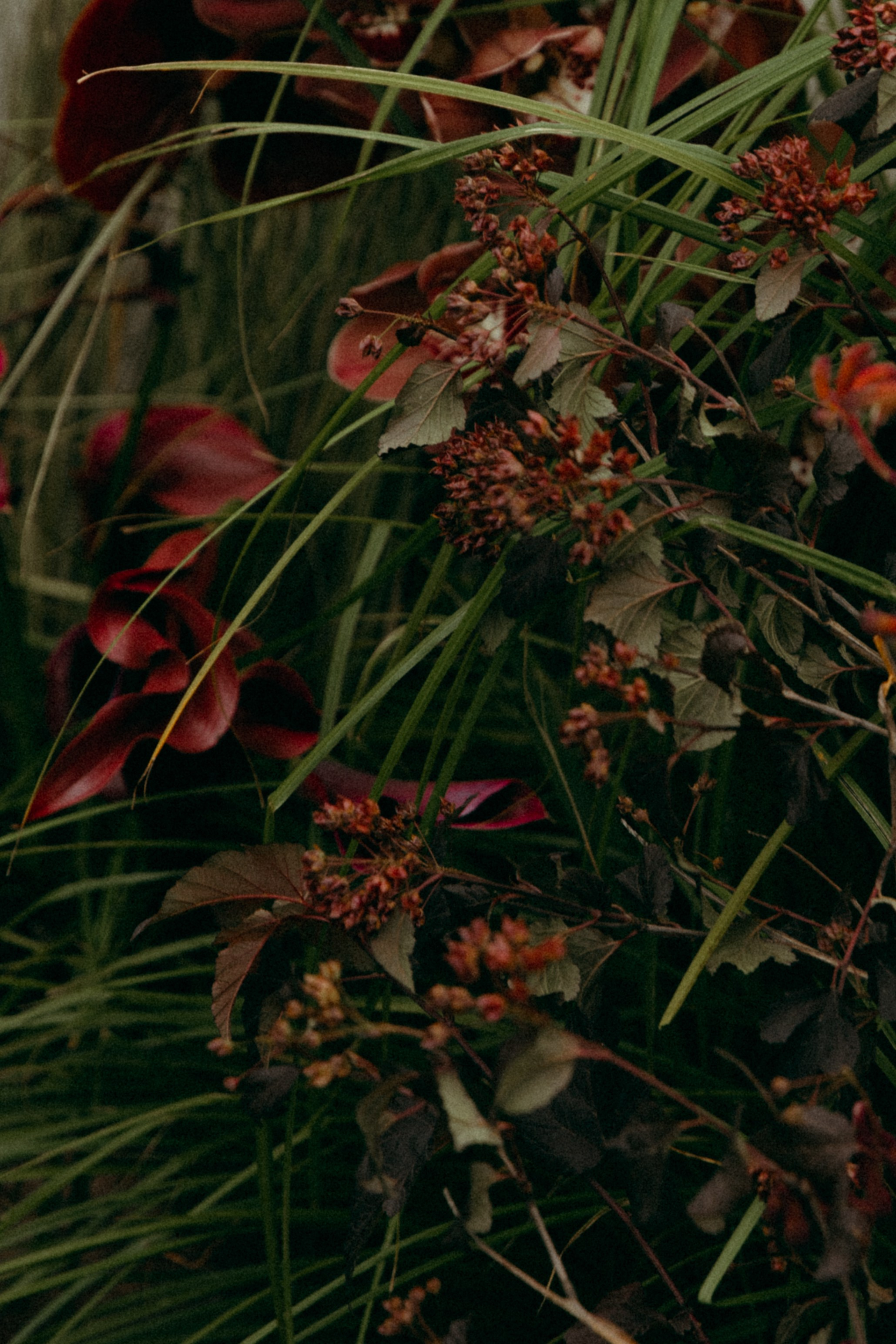 Семейные ценности. Главная