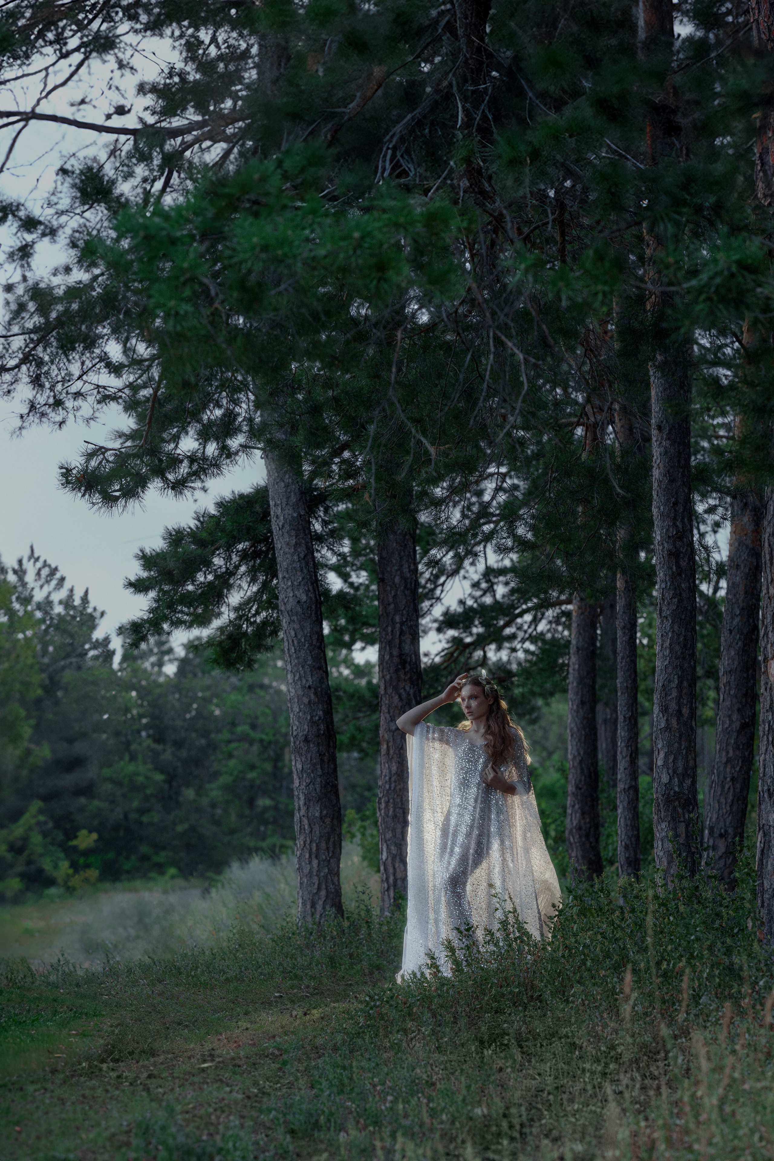 «Утренняя Роса», 2025 год. Фотохудожник в Тольятти и Самаре Валентина Суворова