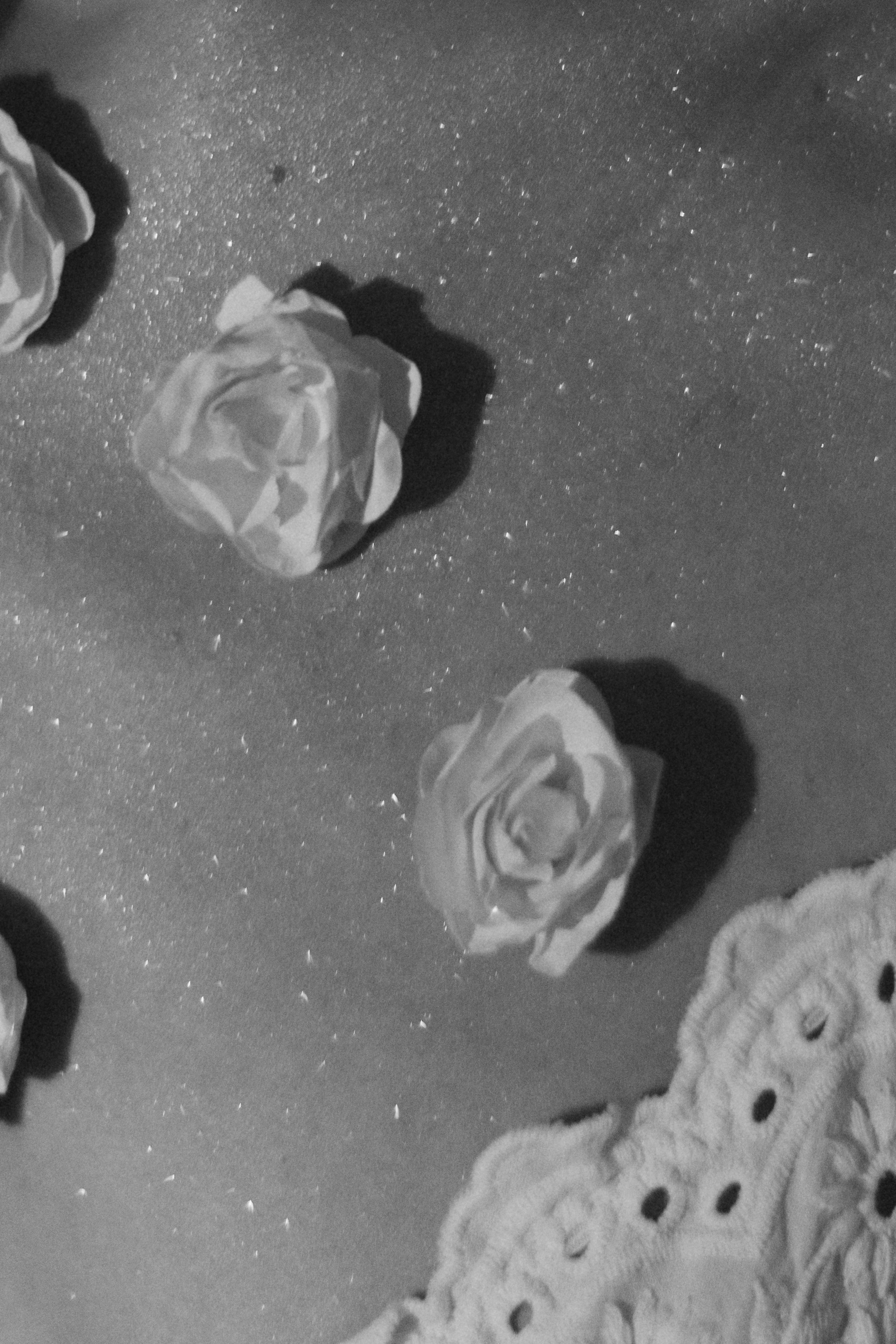 Nastya INSPIRATIONS. Фотограф Астафьева Мария