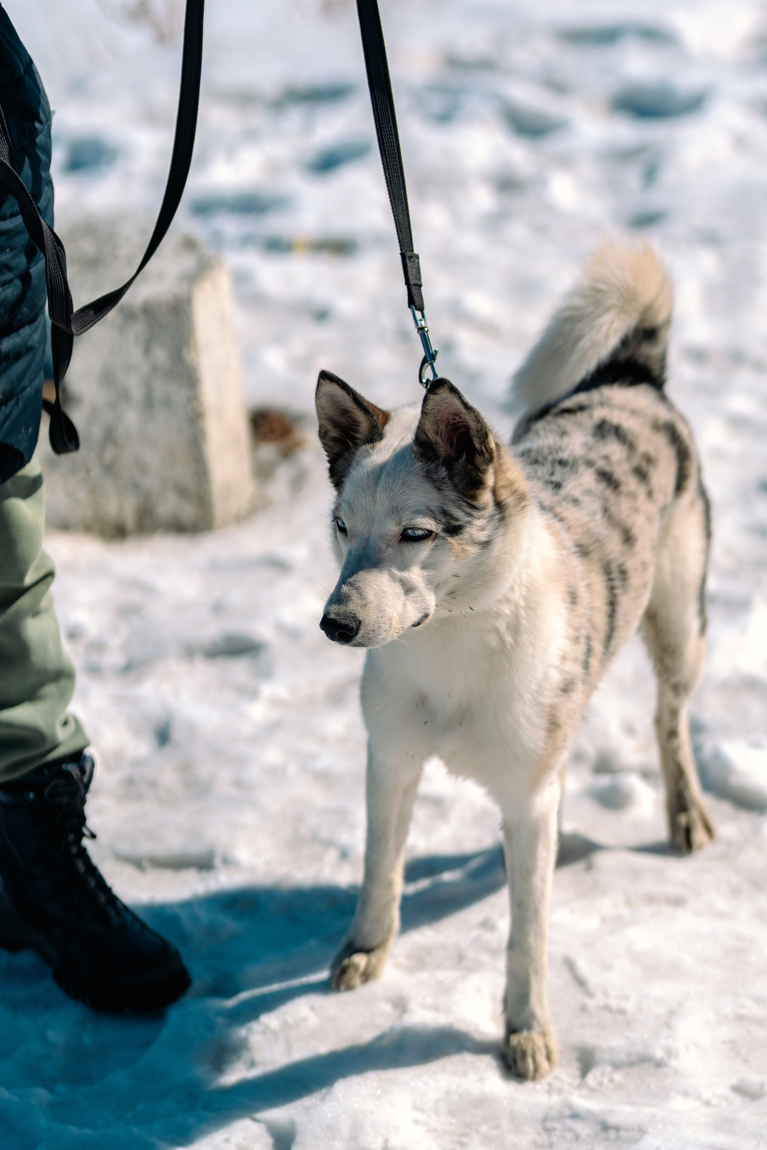 Якутск, Апрель 2024