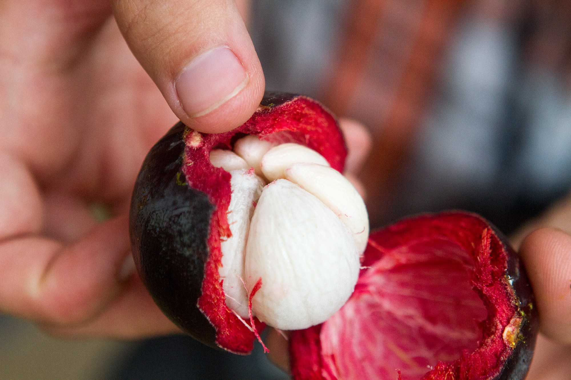 Репортаж фото. Фото и видеосъемка