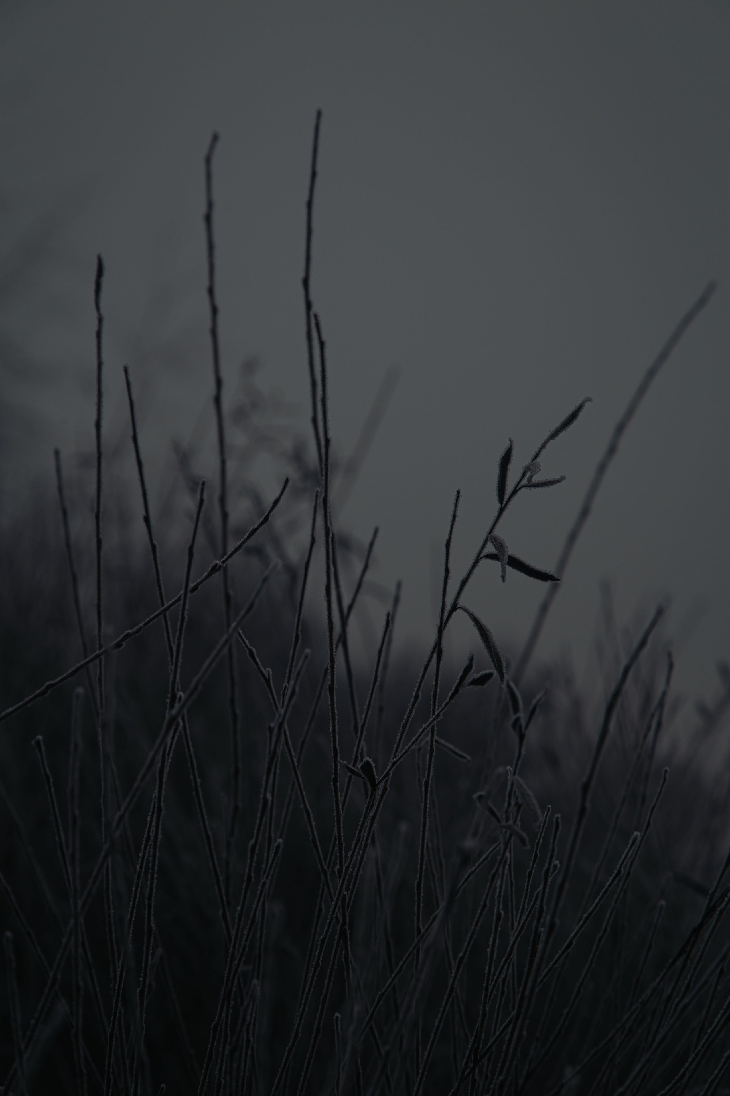 Воздух февраля. Dmitriy [KCCC] is a pretty cool photographer