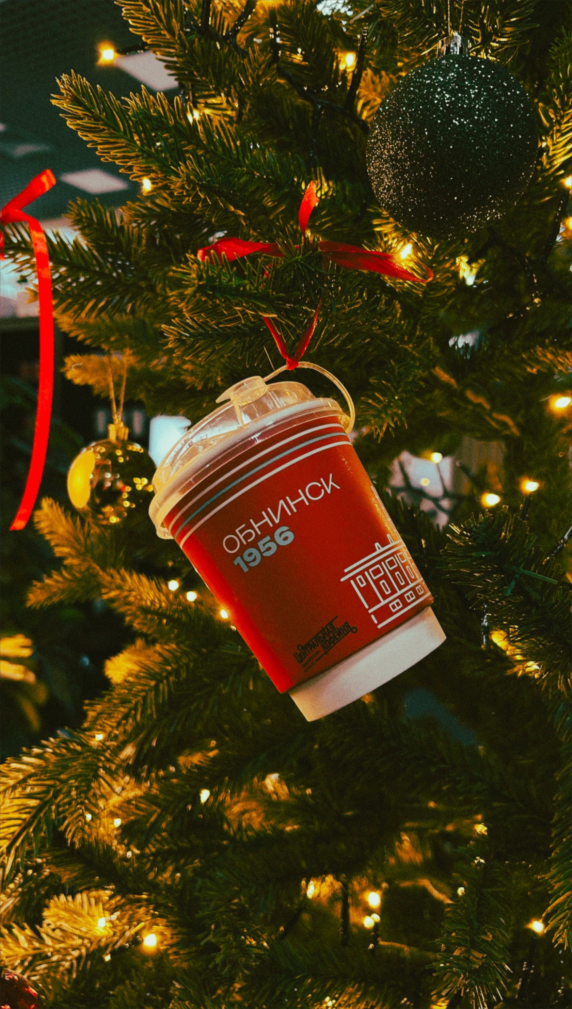 Коммерческие съемки. Фотограф контент-мейкер в Москве