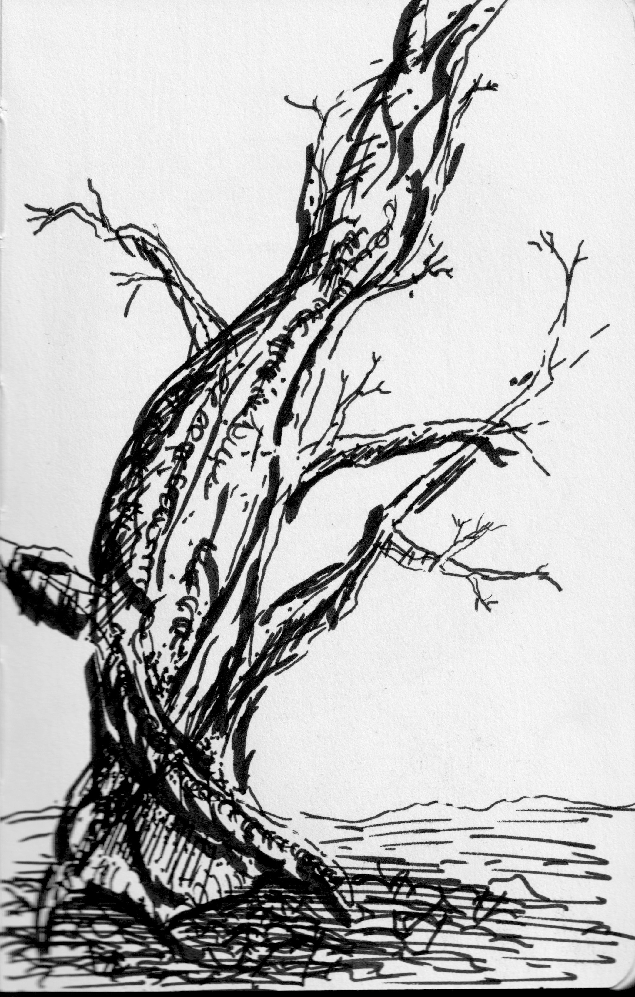 Скетчи. Ожерельев Лев