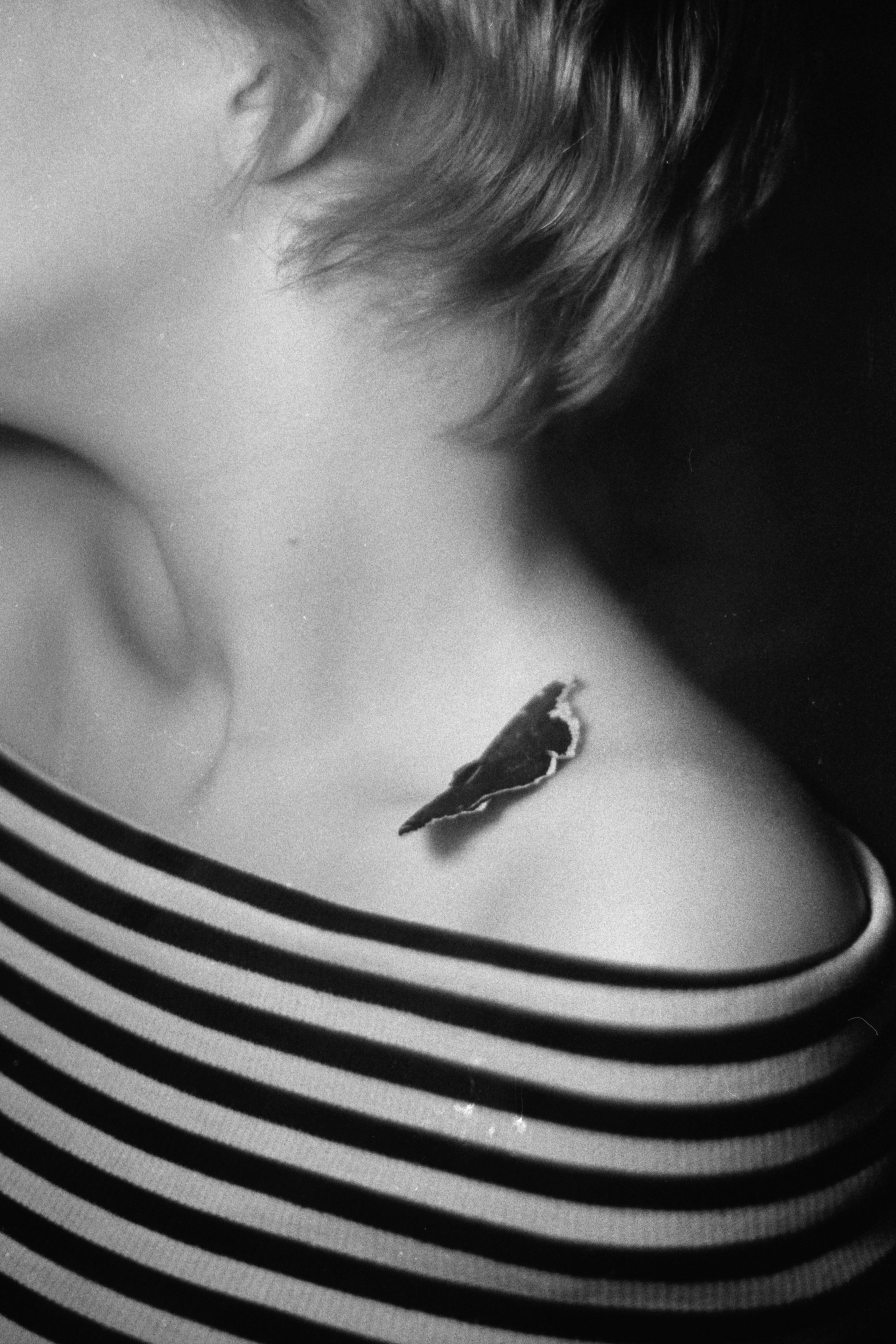 Пленочная история. Дмитрий Пропадалин, Нейрофотография