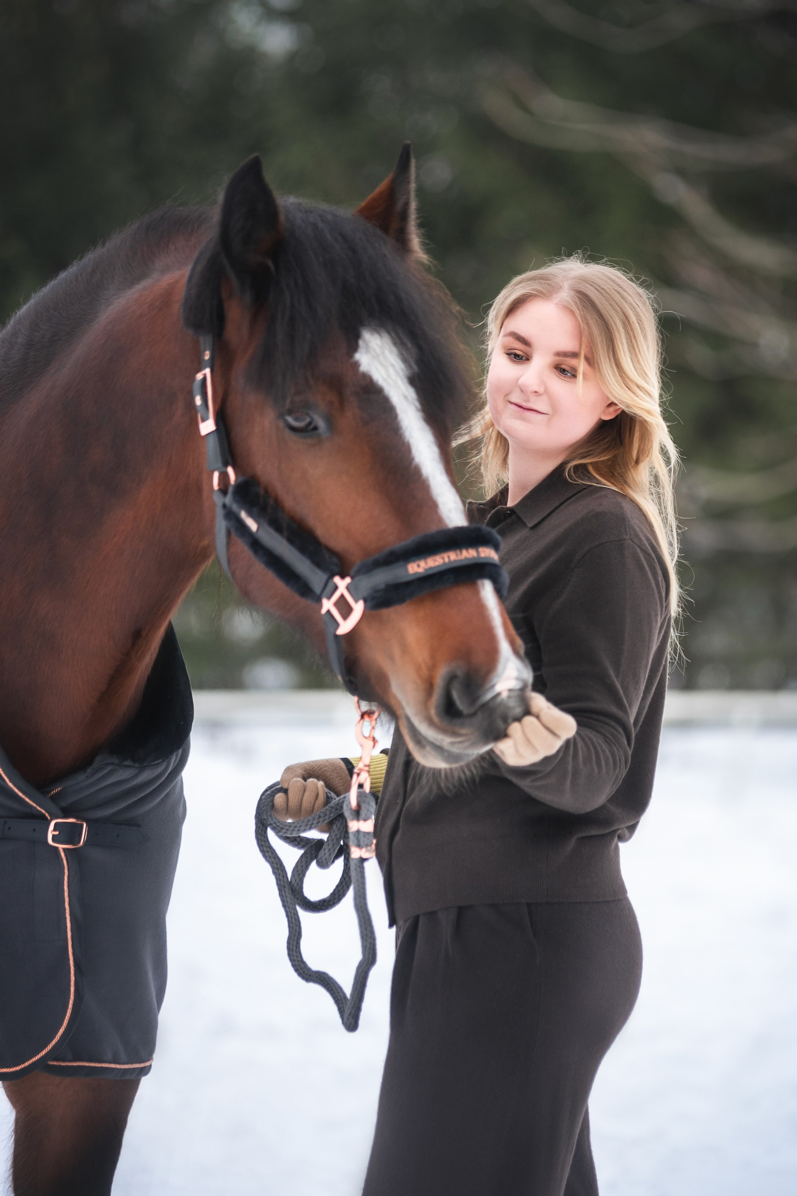 Новогодний Волконский. Конный фотограф Куракина Дарья • Фотосессии с лошадьми