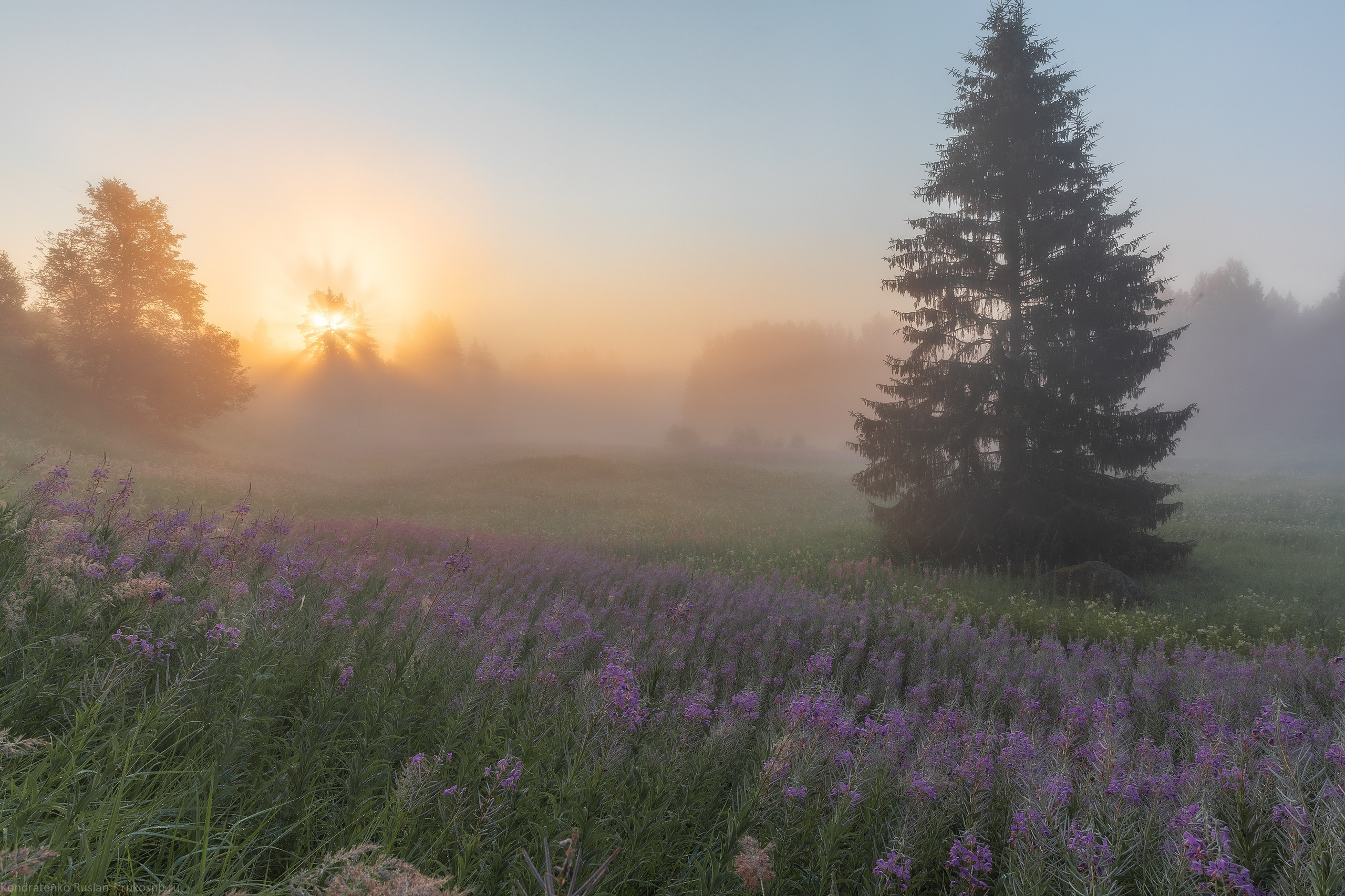 Ленинградская область. Архитектурный и пейзажный фотограф Кондратенко Руслан, Санкт-Петербург