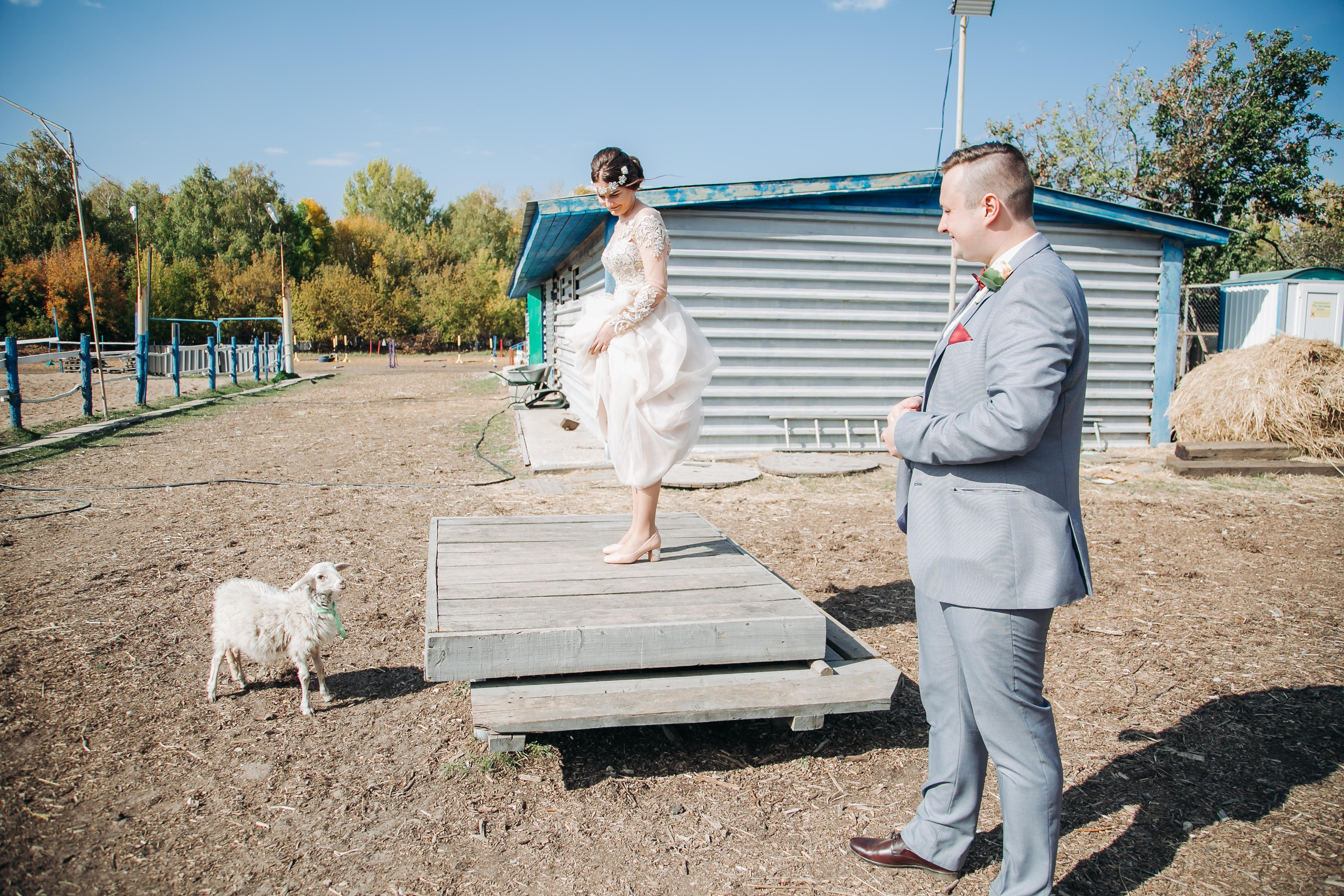 Свадебные фотографии. Семейный и свадебный фотограф Viva Photo