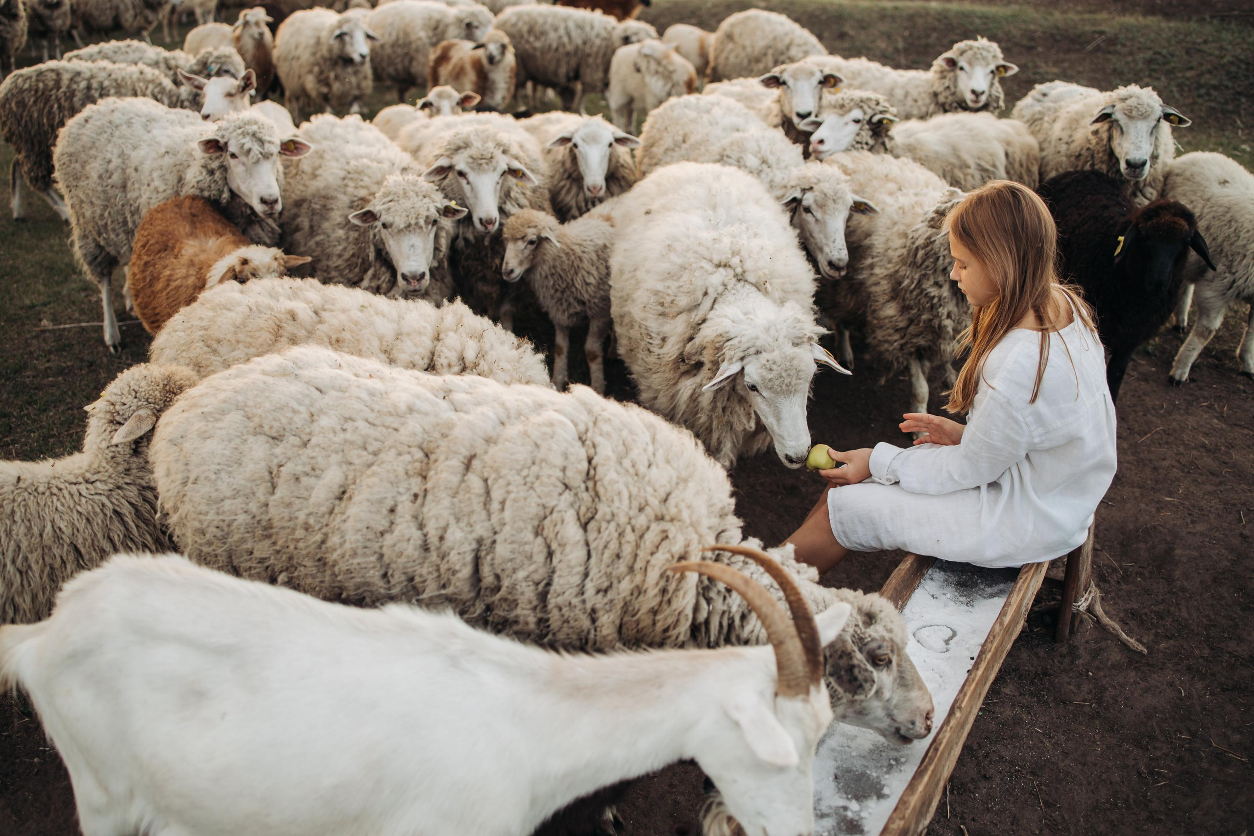 Семейные фотографии. Семейный и свадебный фотограф Viva Photo