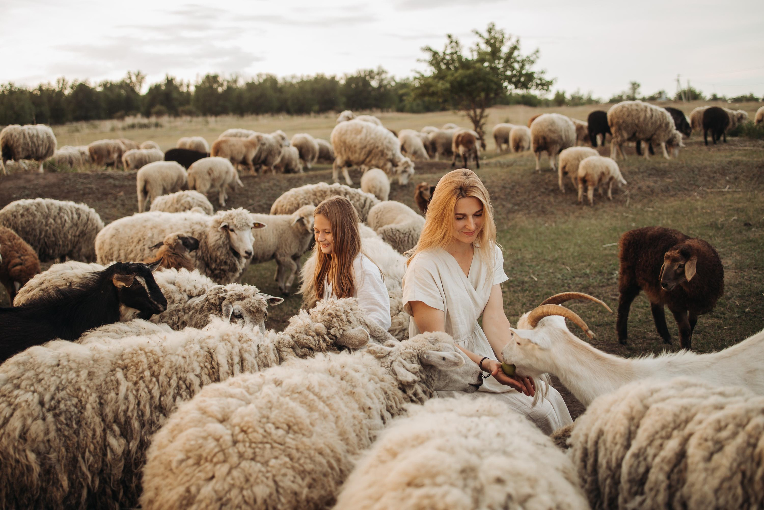 Семейные фотографии. Семейный и свадебный фотограф Viva Photo